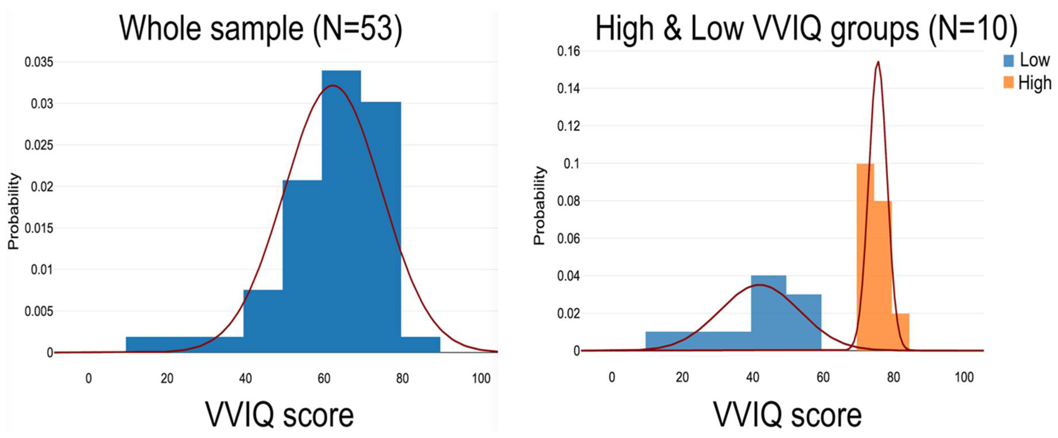 Vision 09 00053 g002