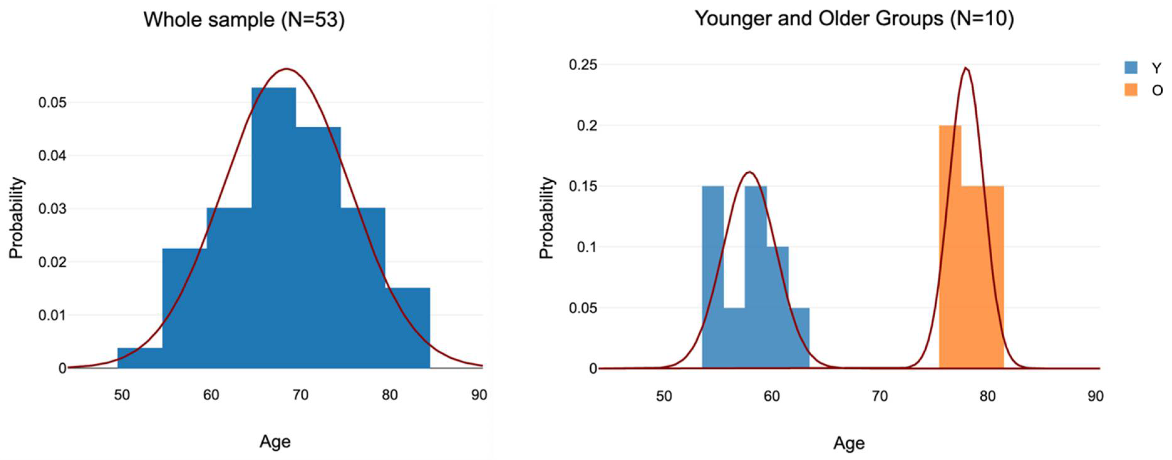 Vision 09 00053 g003