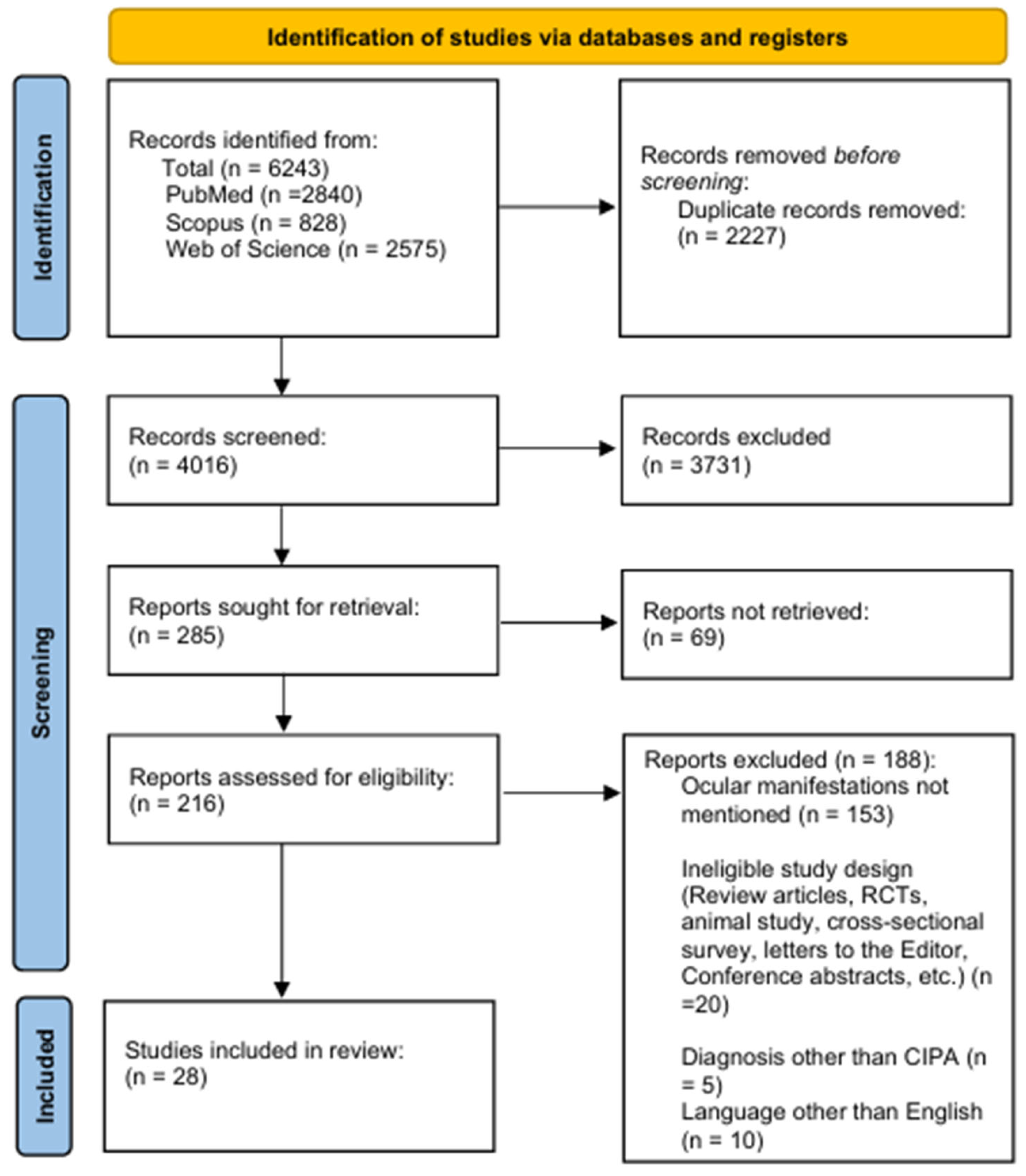 Vision 09 00062 g001