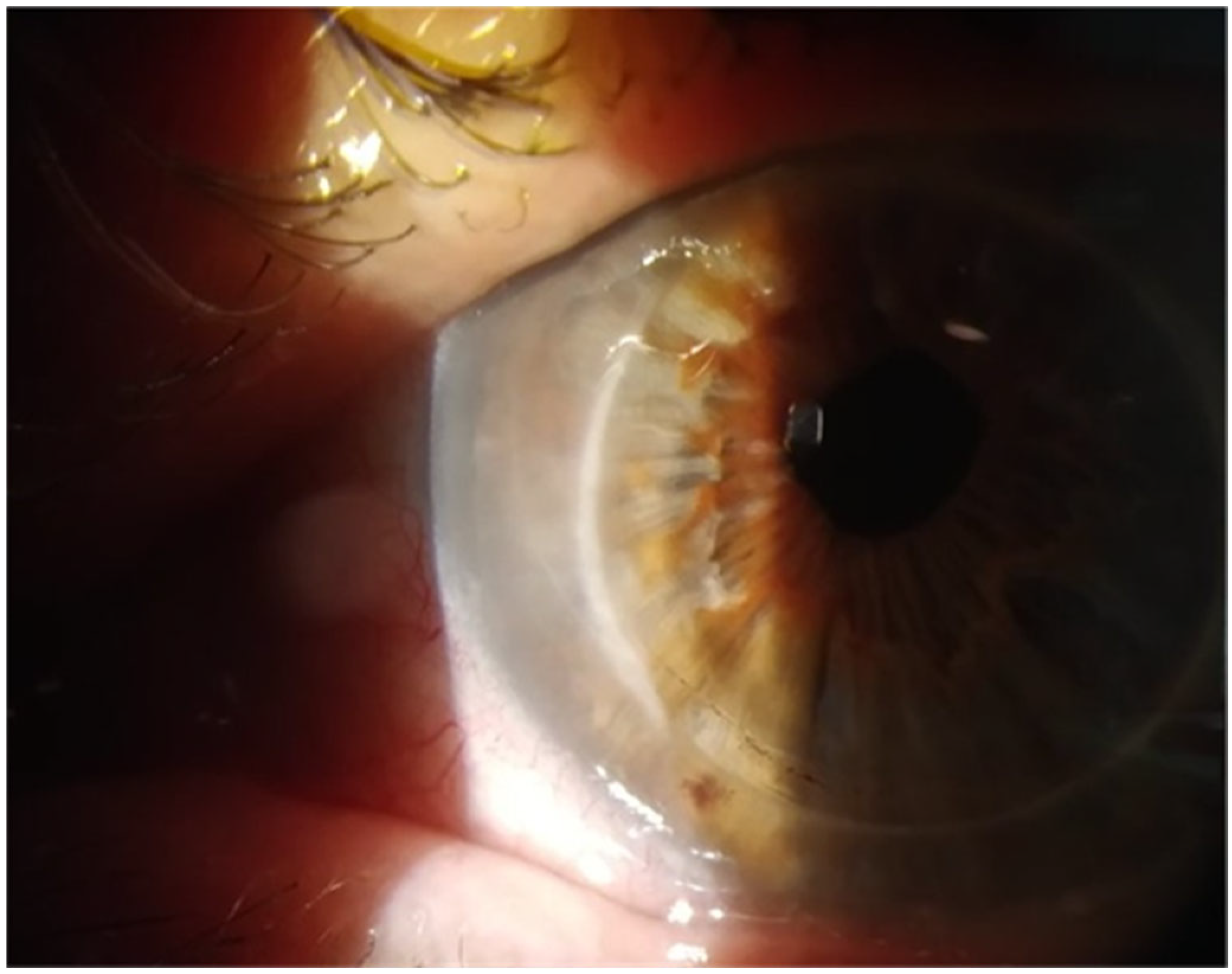 Vision 09 00063 g003