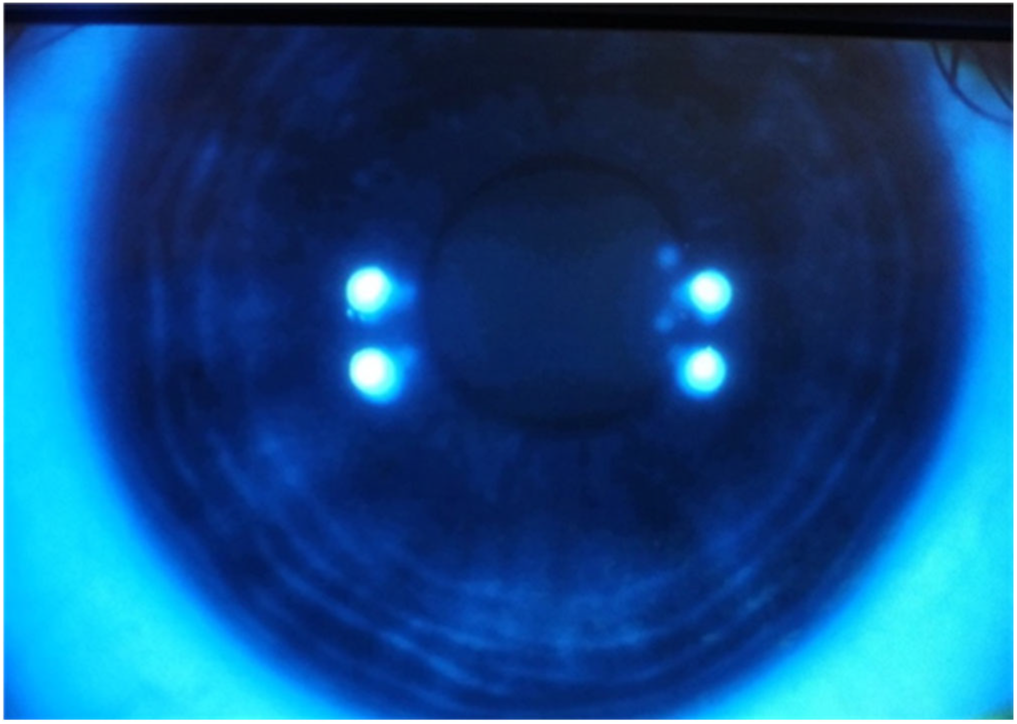 Vision 09 00063 g004