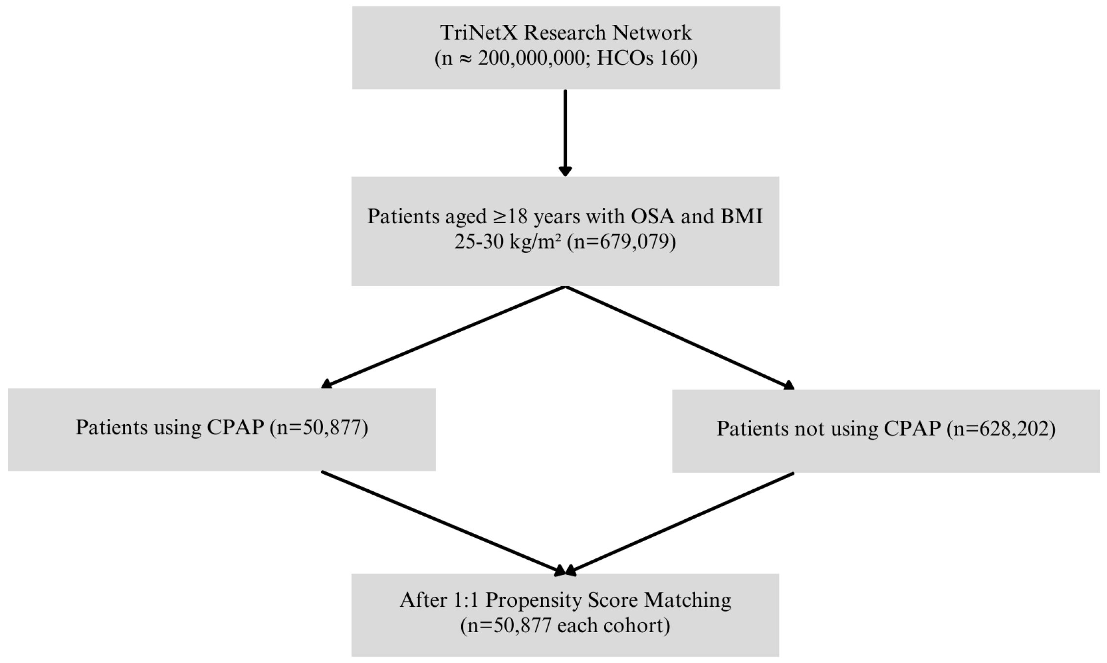 Vision 09 00065 g001