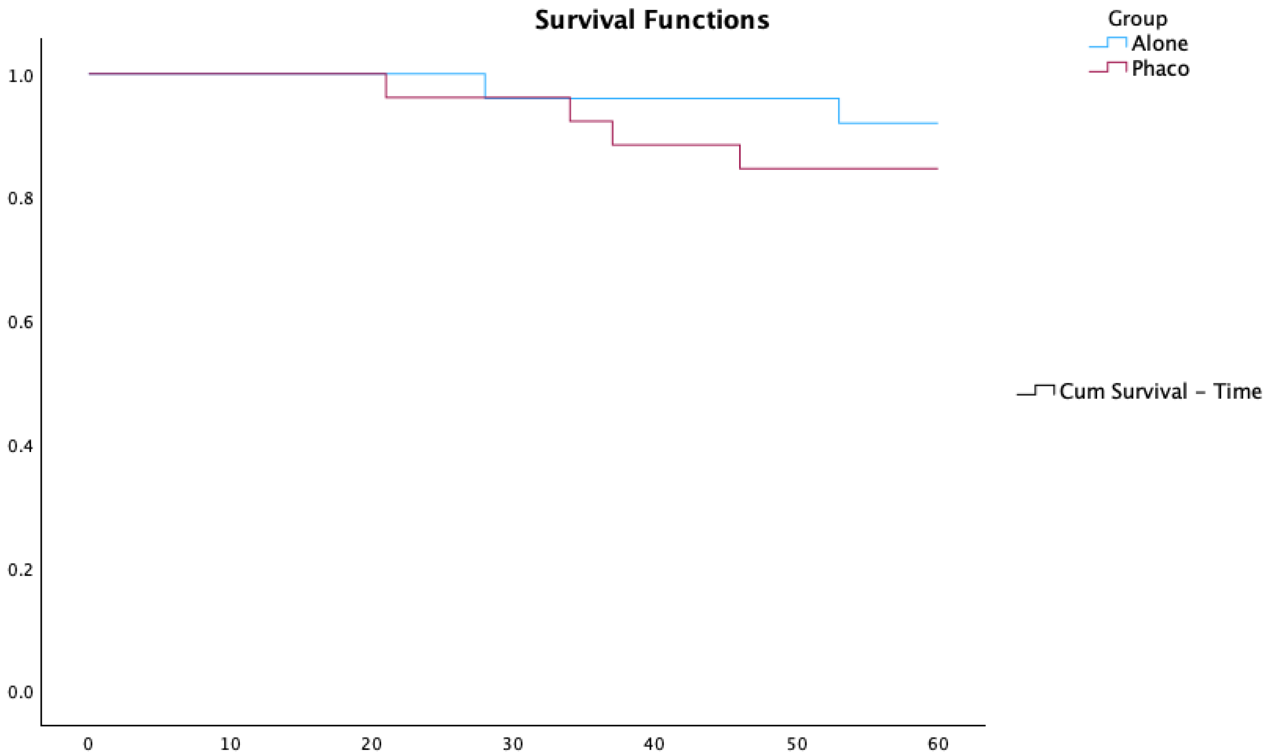 Vision 09 00068 g002