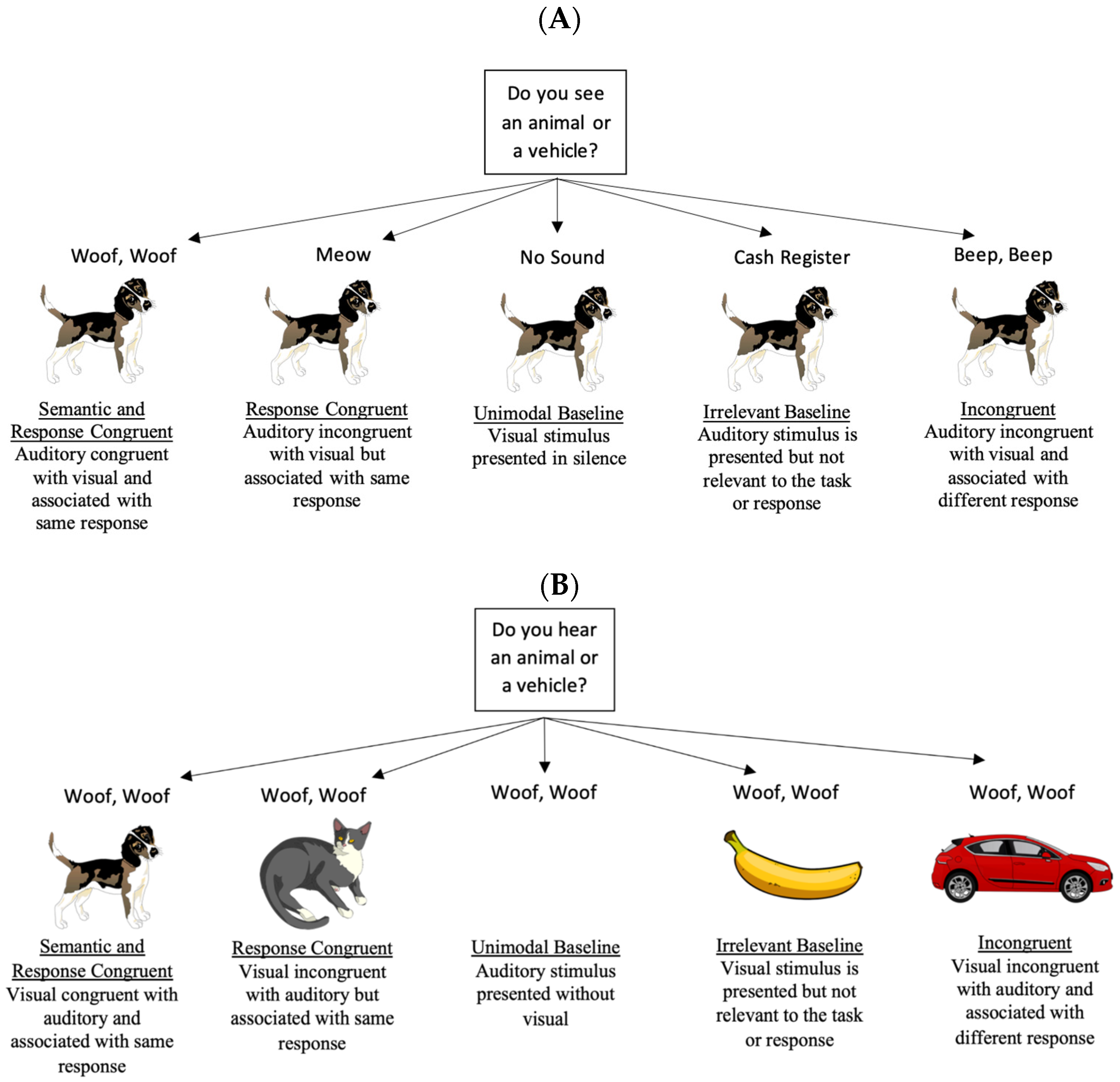 Vision 09 00074 g001