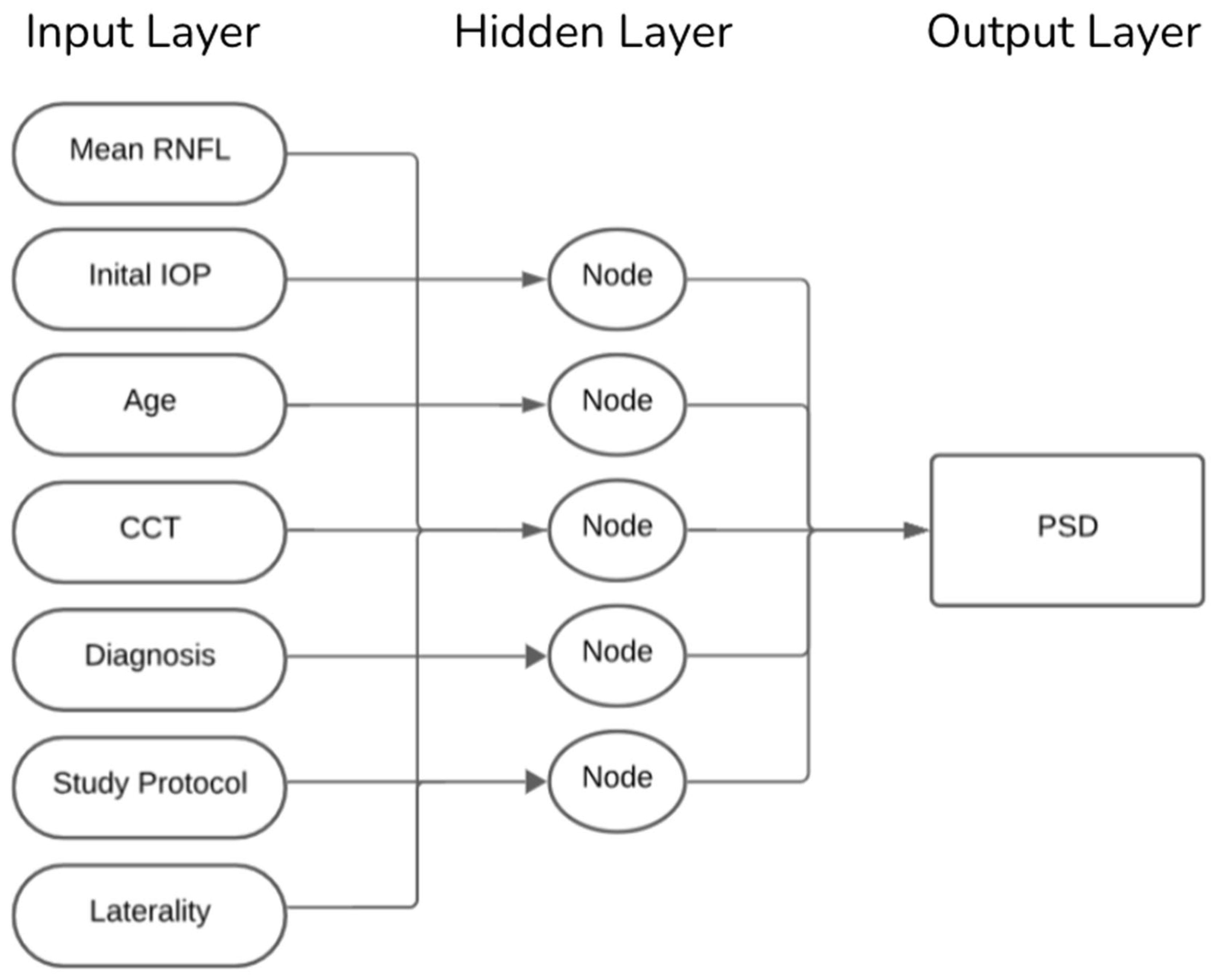 Vision 09 00077 g001