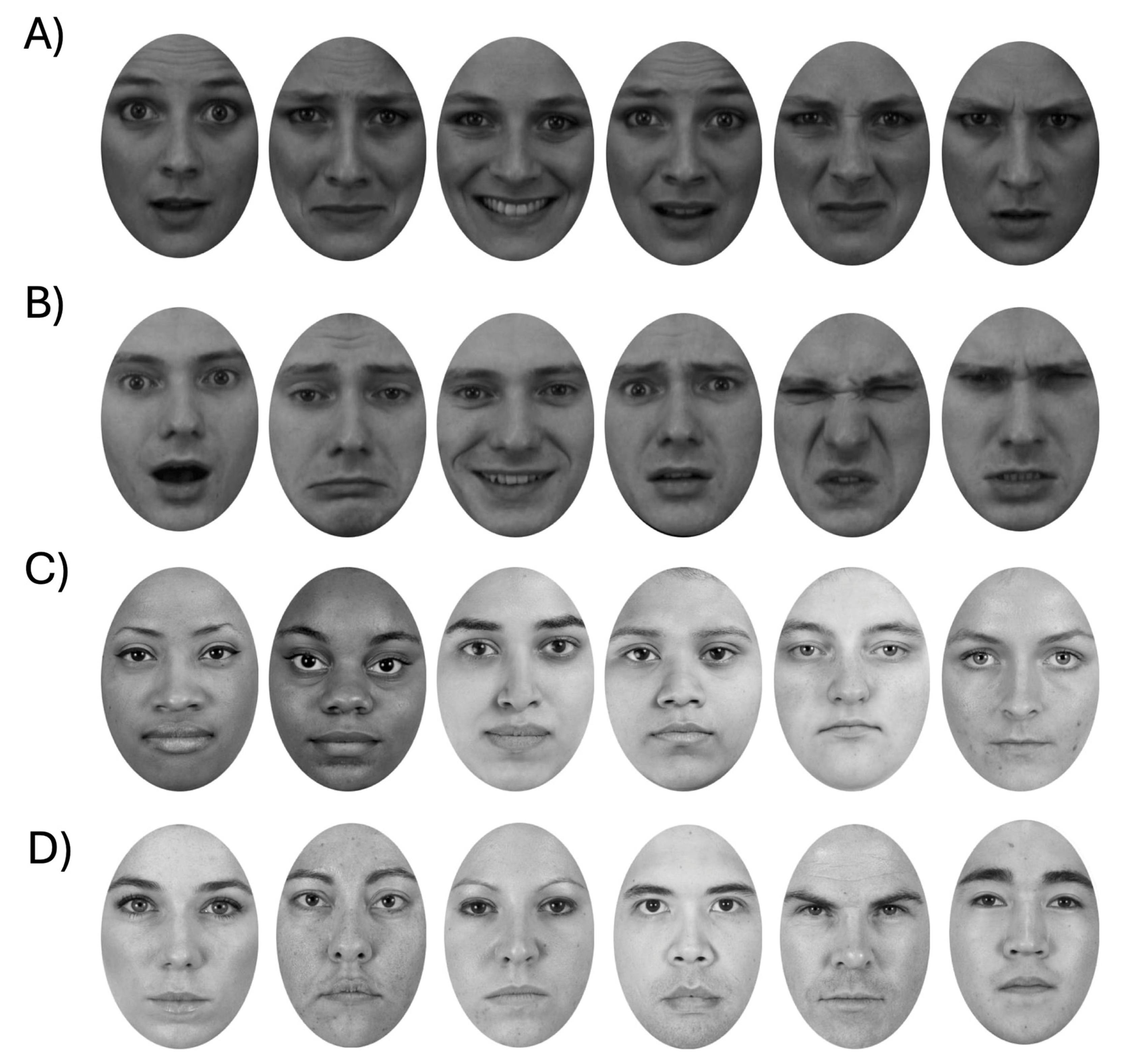 Vision 09 00088 g001