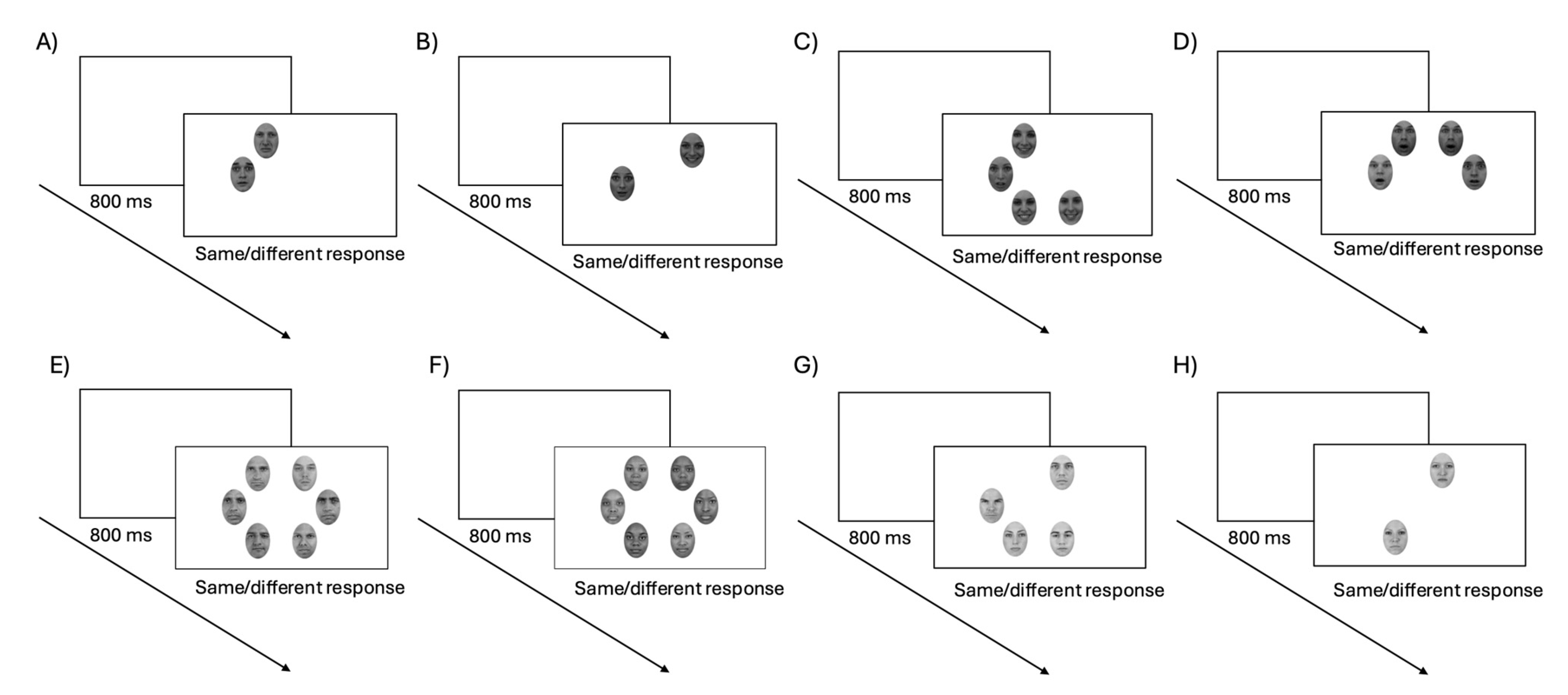 Vision 09 00088 g002