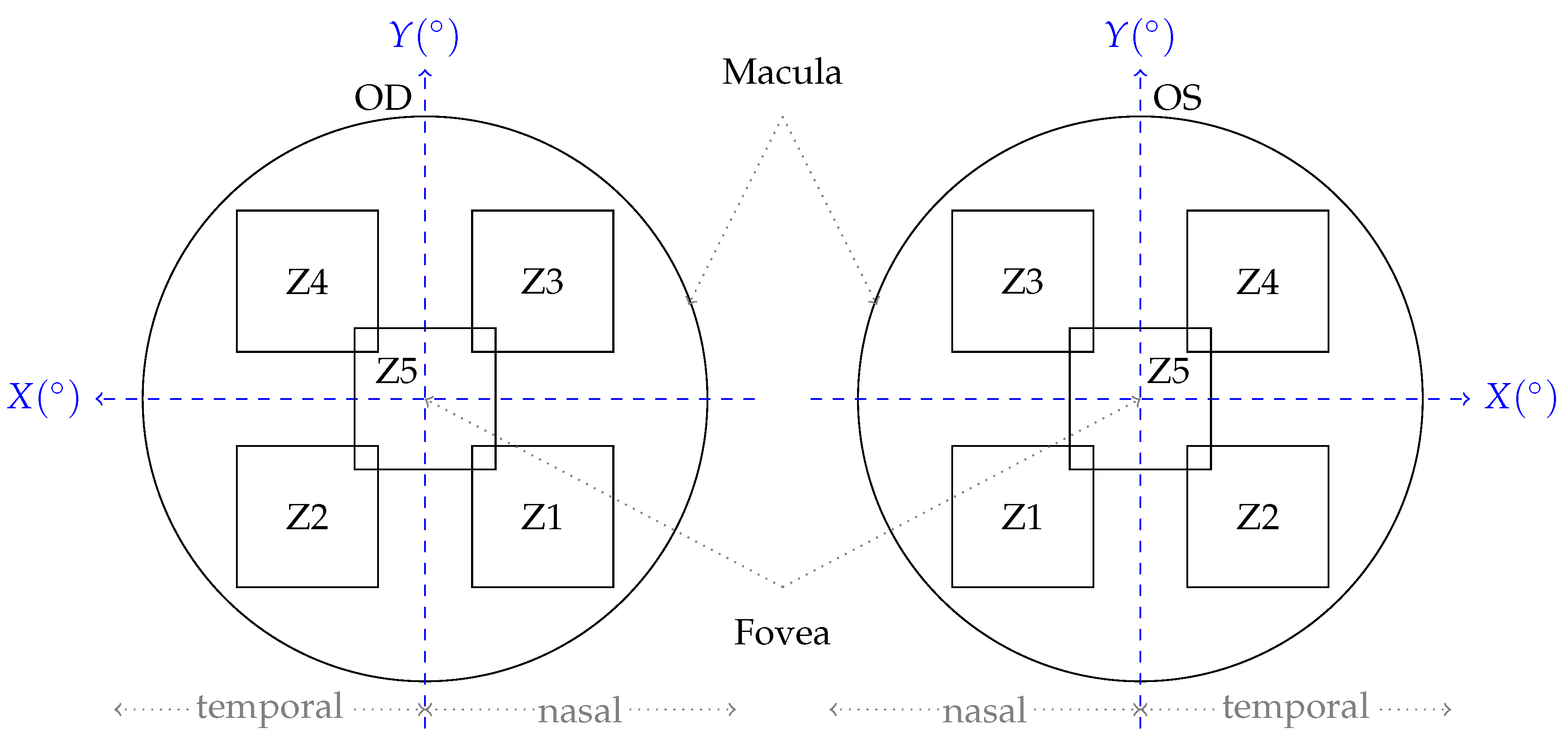 Vision 09 00091 g001