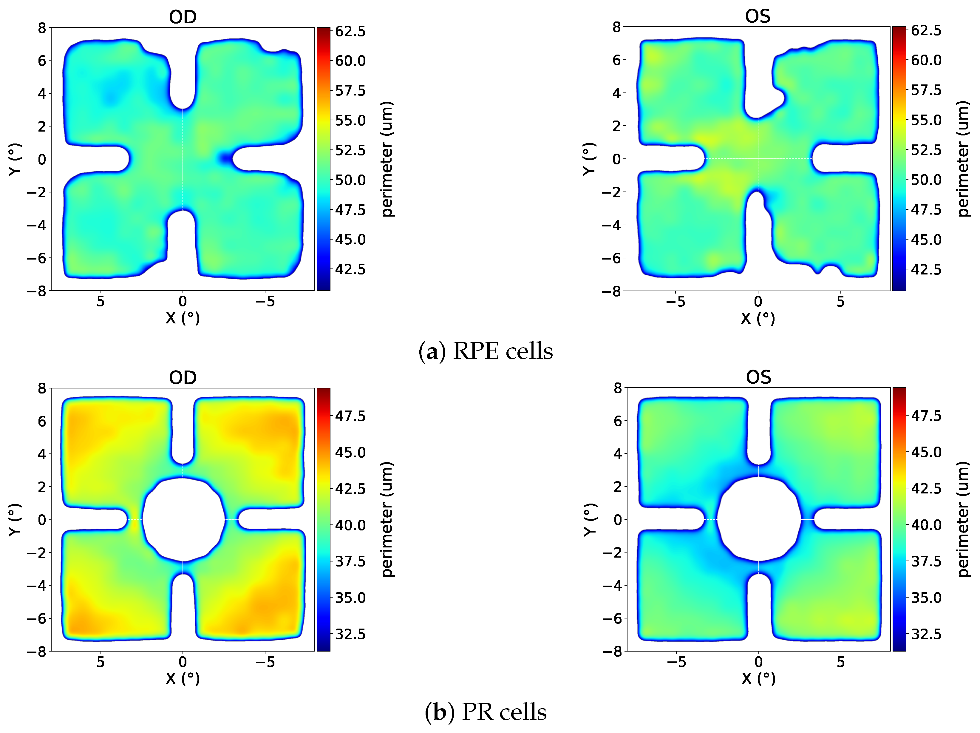 Vision 09 00091 g0a5