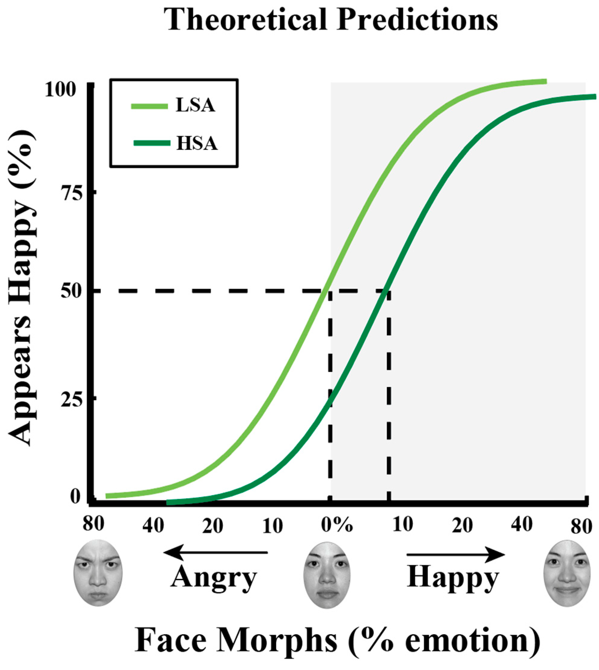 Vision 09 00092 g002