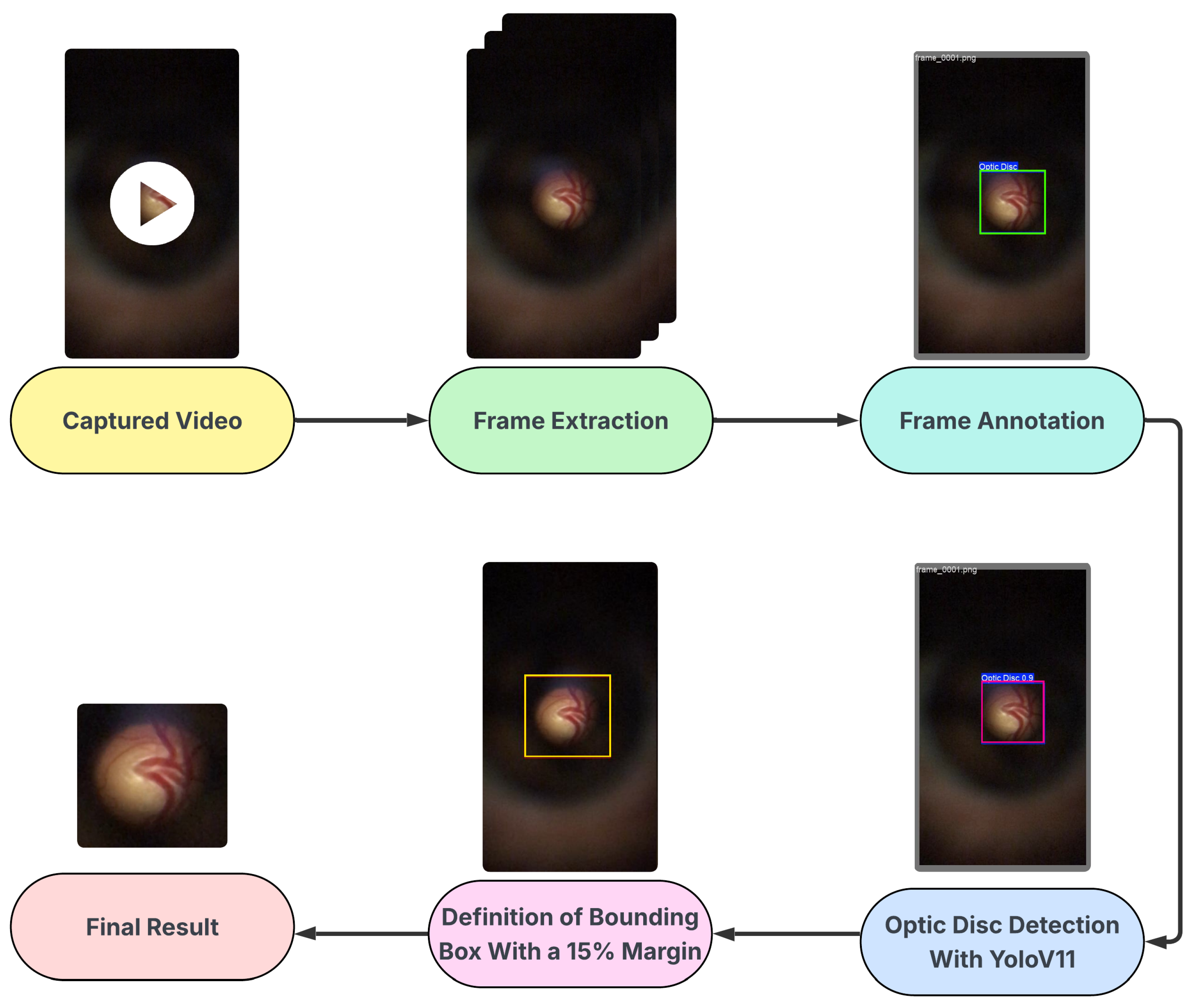 Vision 09 00093 g003