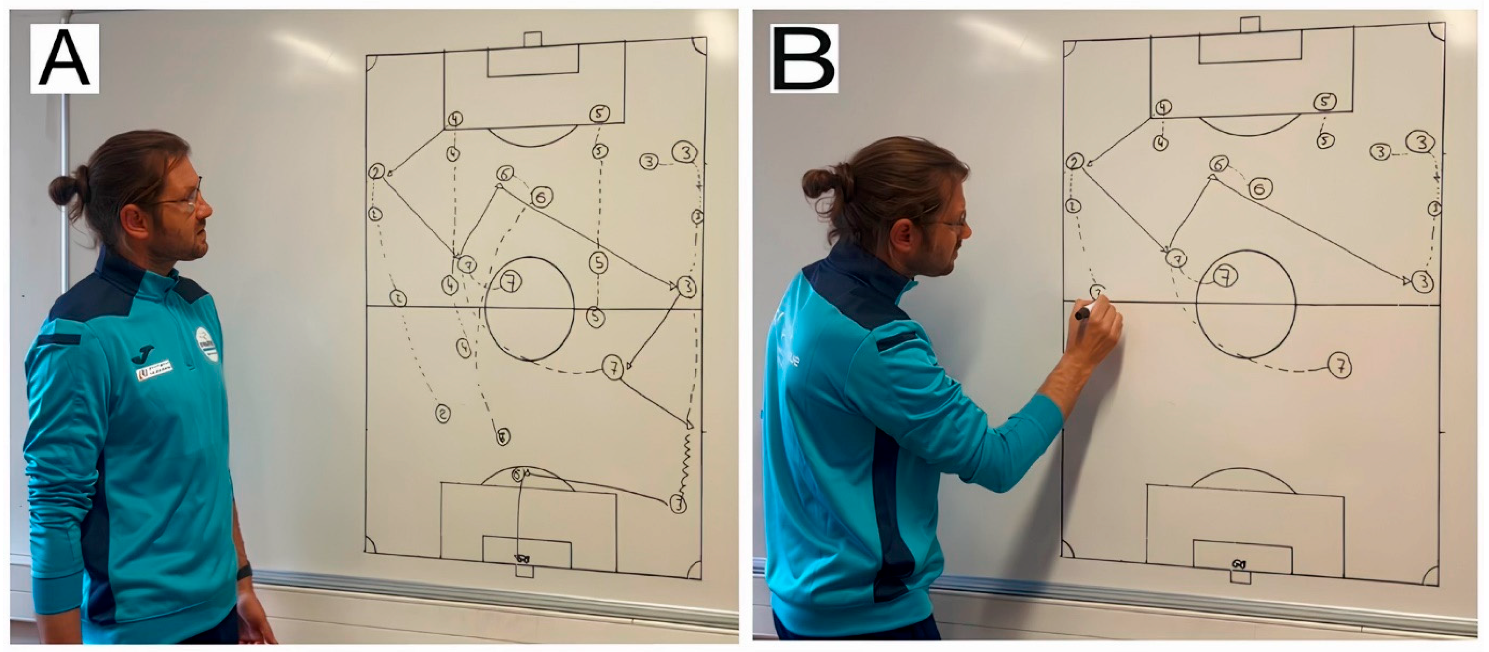 Vision 10 00002 g001