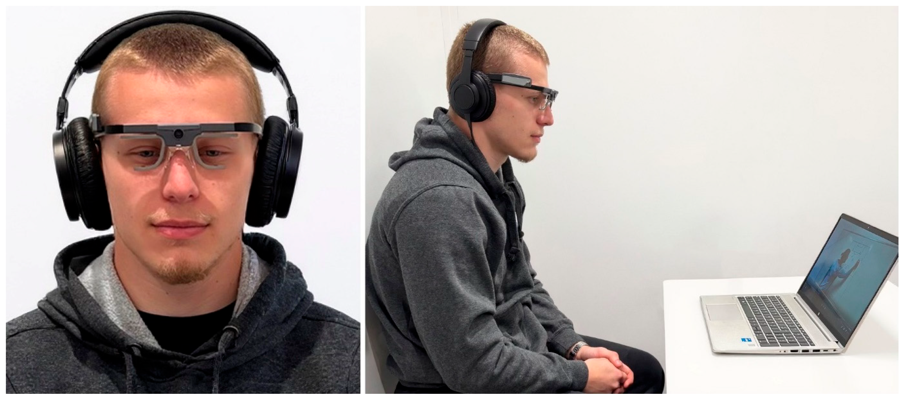 Vision 10 00002 g002