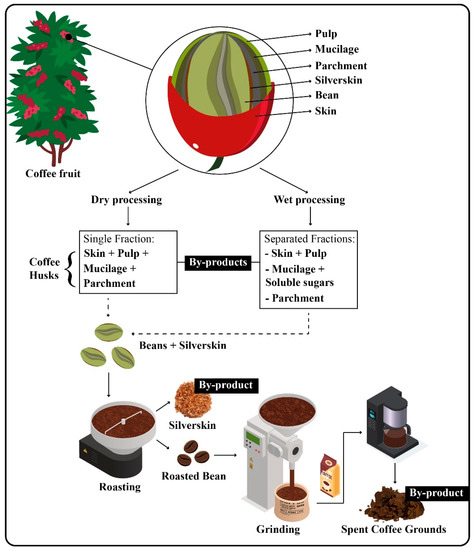 Complete Utilization of Spent Coffee Grounds To Produce Biodiesel, Bio-Oil,  and Biochar