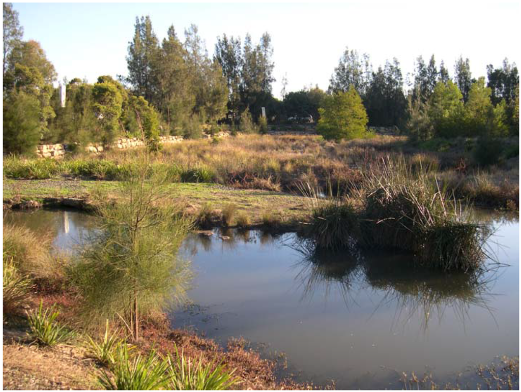 Water Free FullText Constructed Wetlands for Wastewater Treatment