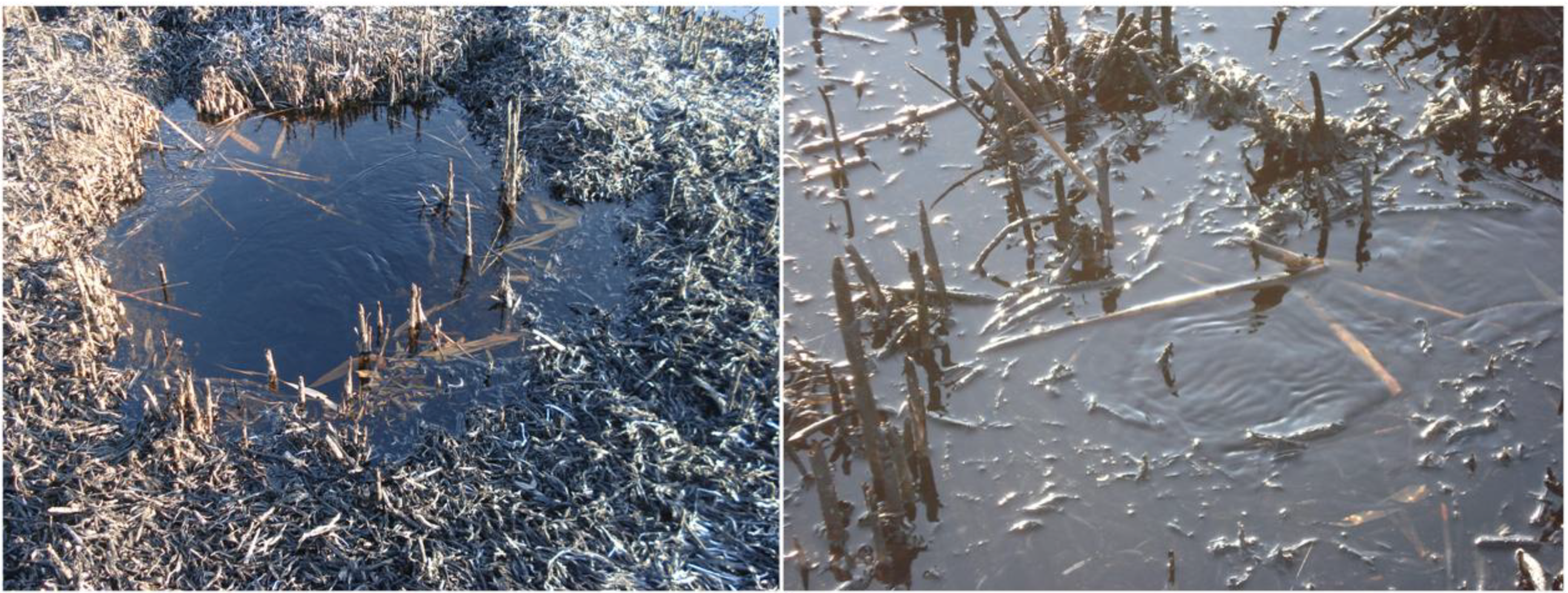 Water 03 00356 g005 1024