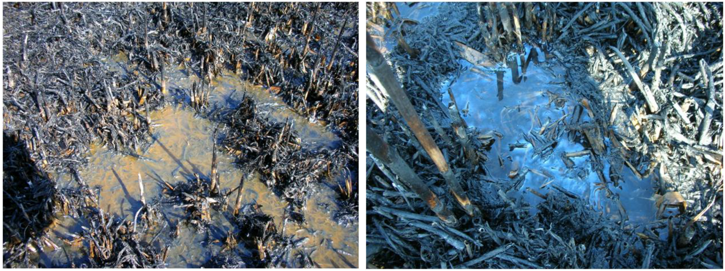 Water 03 00356 g011 1024