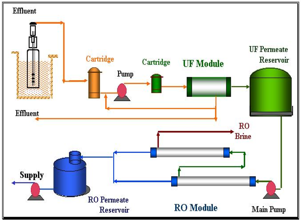 endnote basic uf