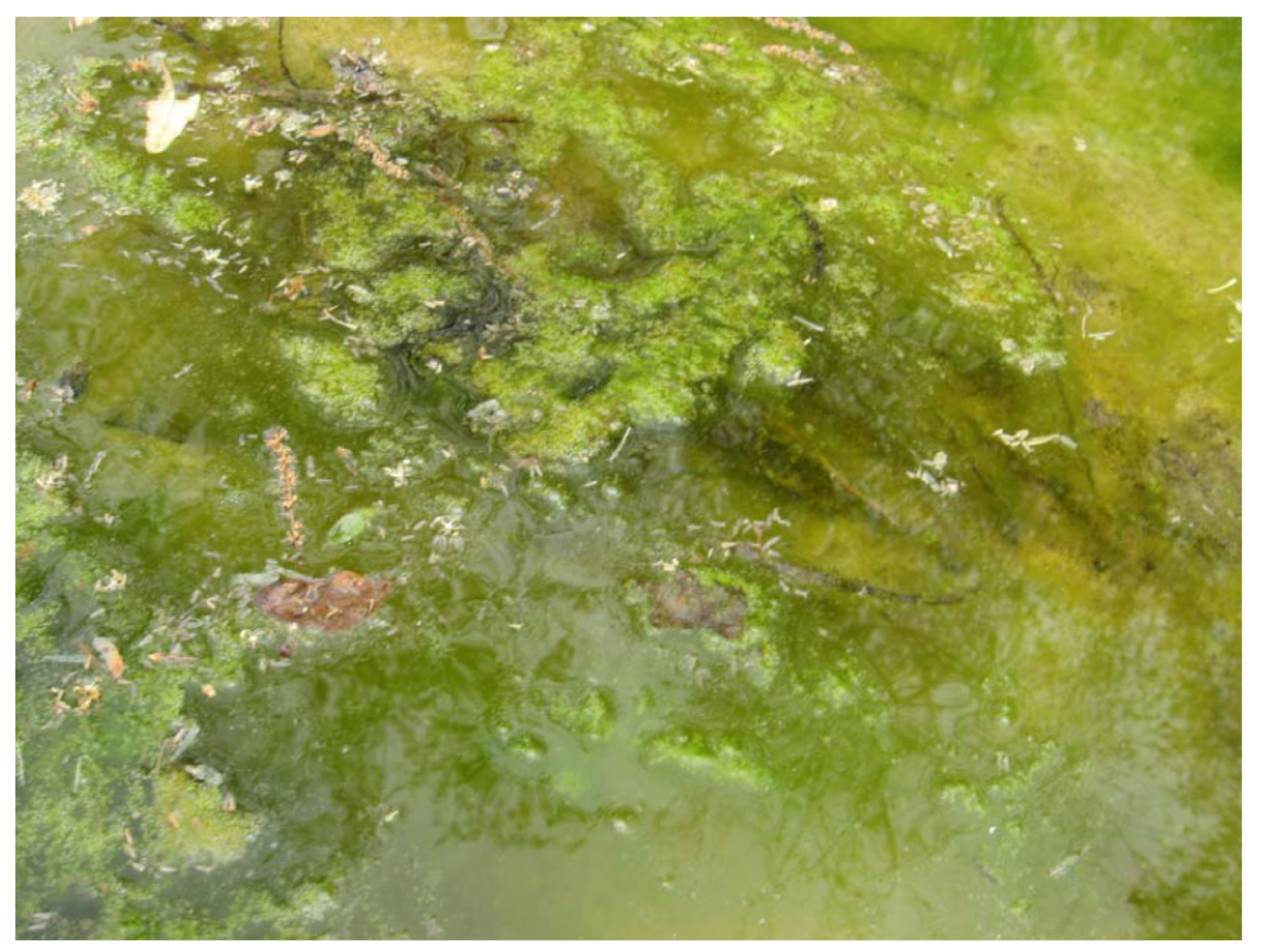 Water 05 00988 g006 1024