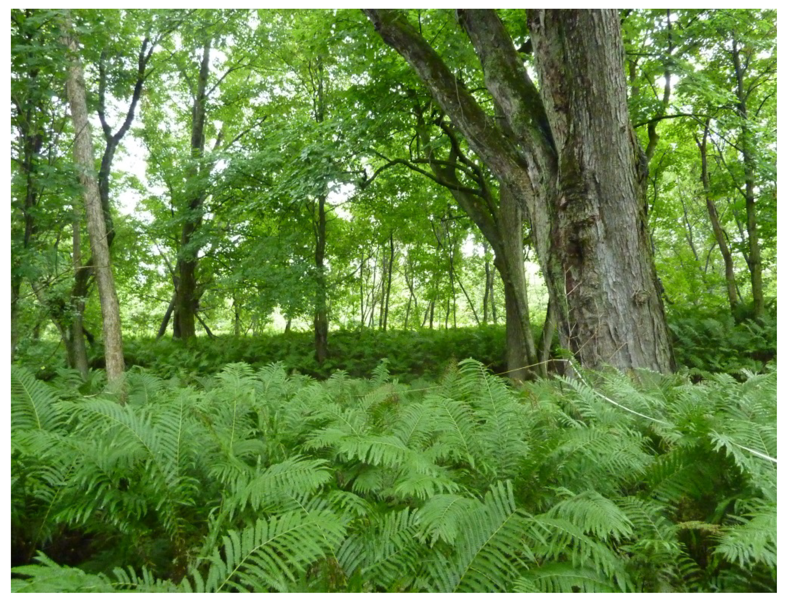 Water 06 02614 g002 1024