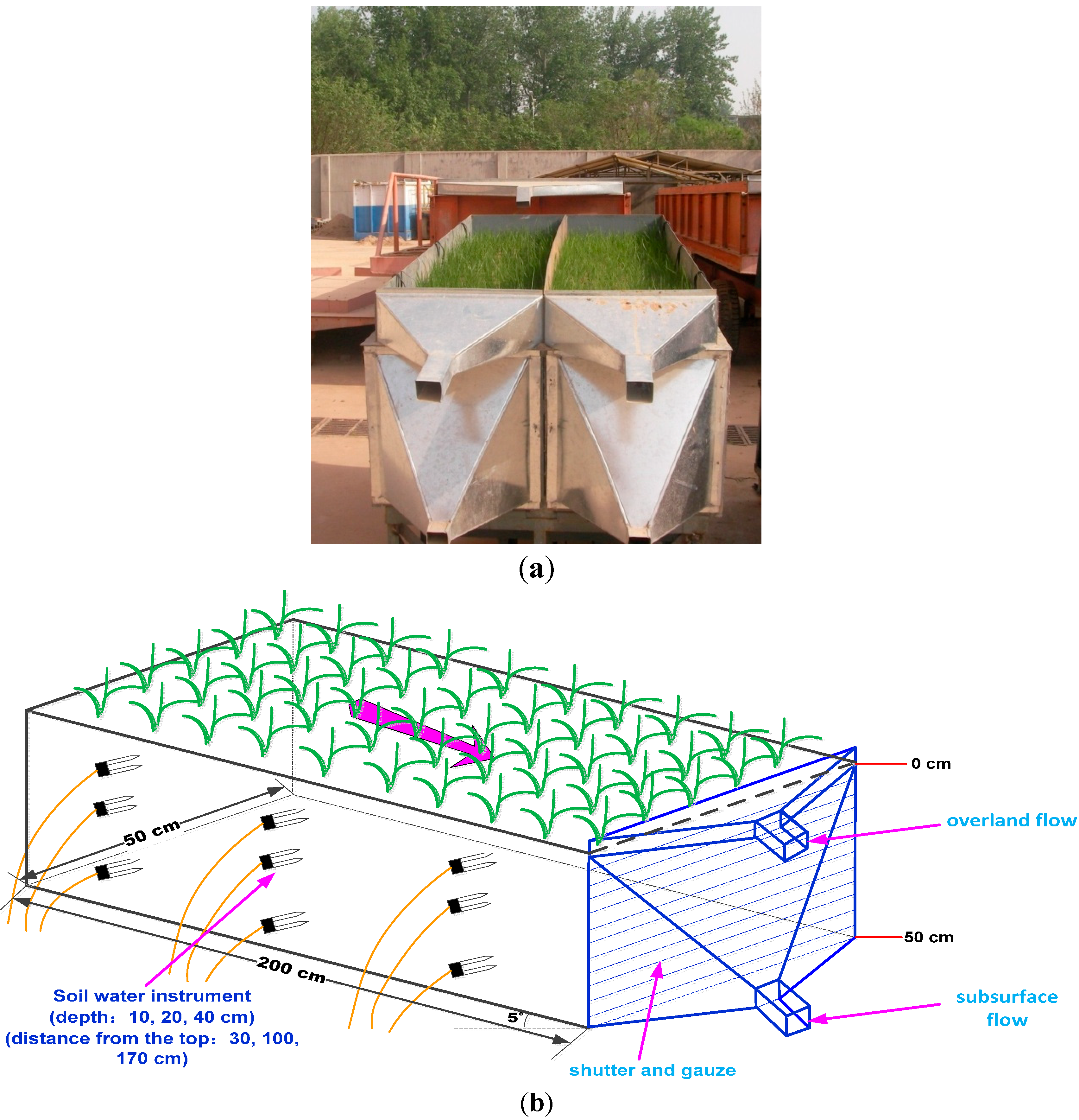 Water 06 02671 g001 1024