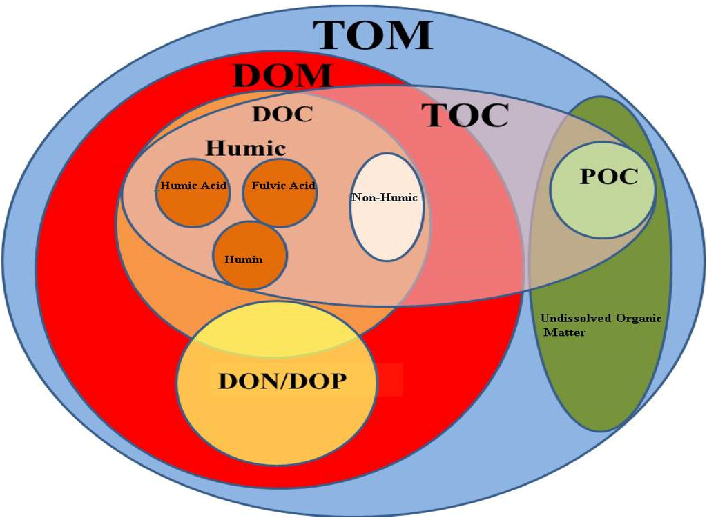 Trends in Levels of Allochthonous Dissolved Organic Carbon in 