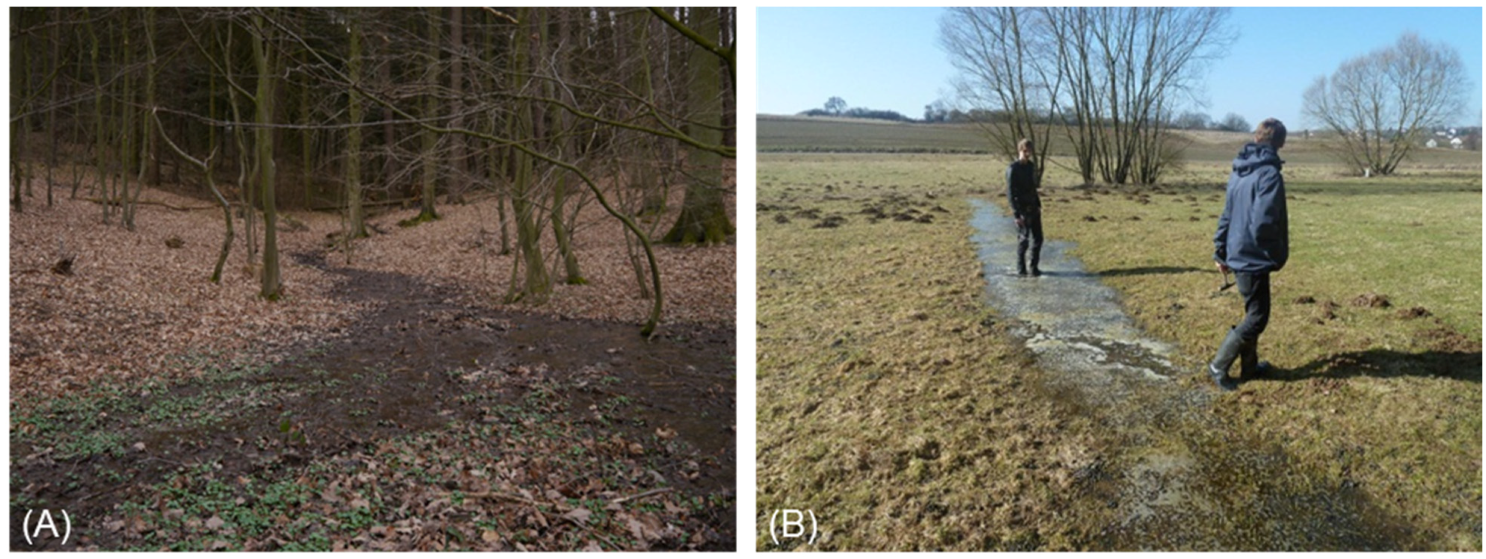 Water 06 03085 g010 1024