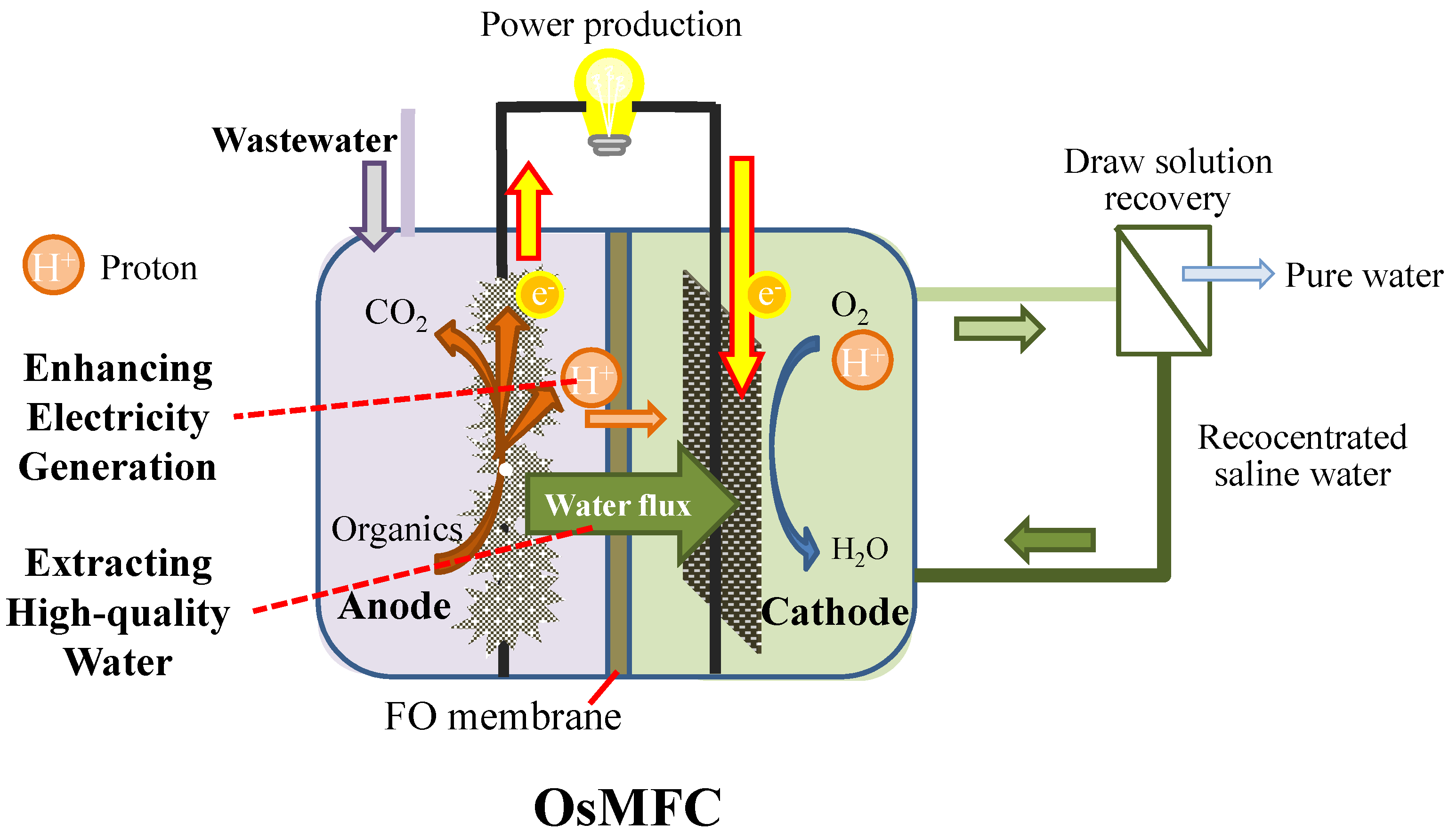Water Free FullText When Bioelectrochemical Systems Meet Forward