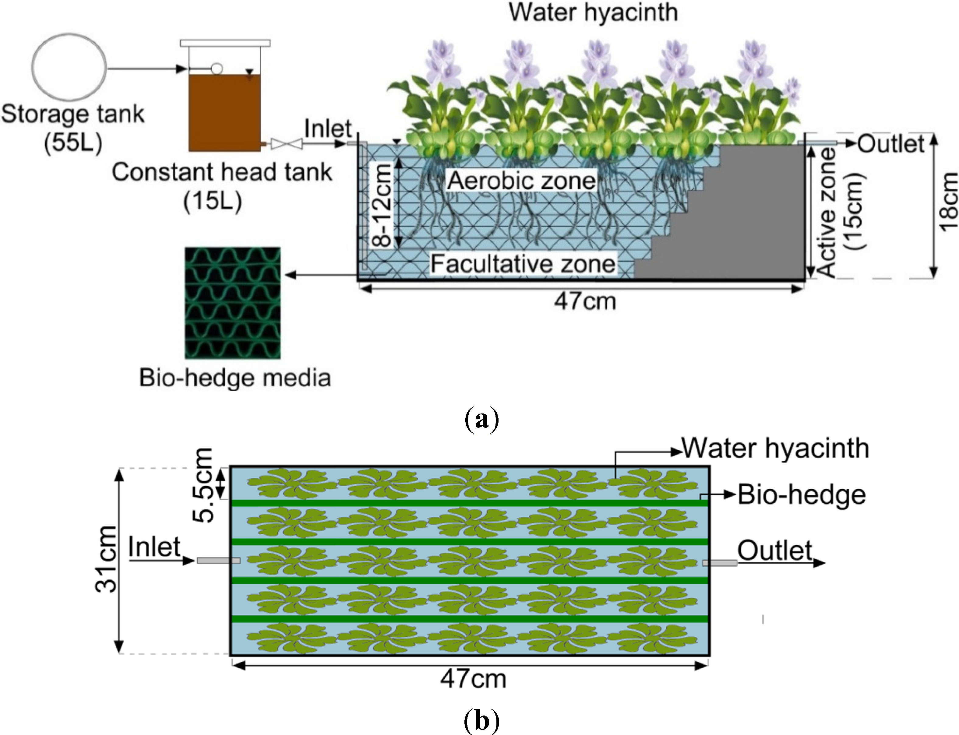 Water Free FullText Effectiveness of Domestic Wastewater Treatment