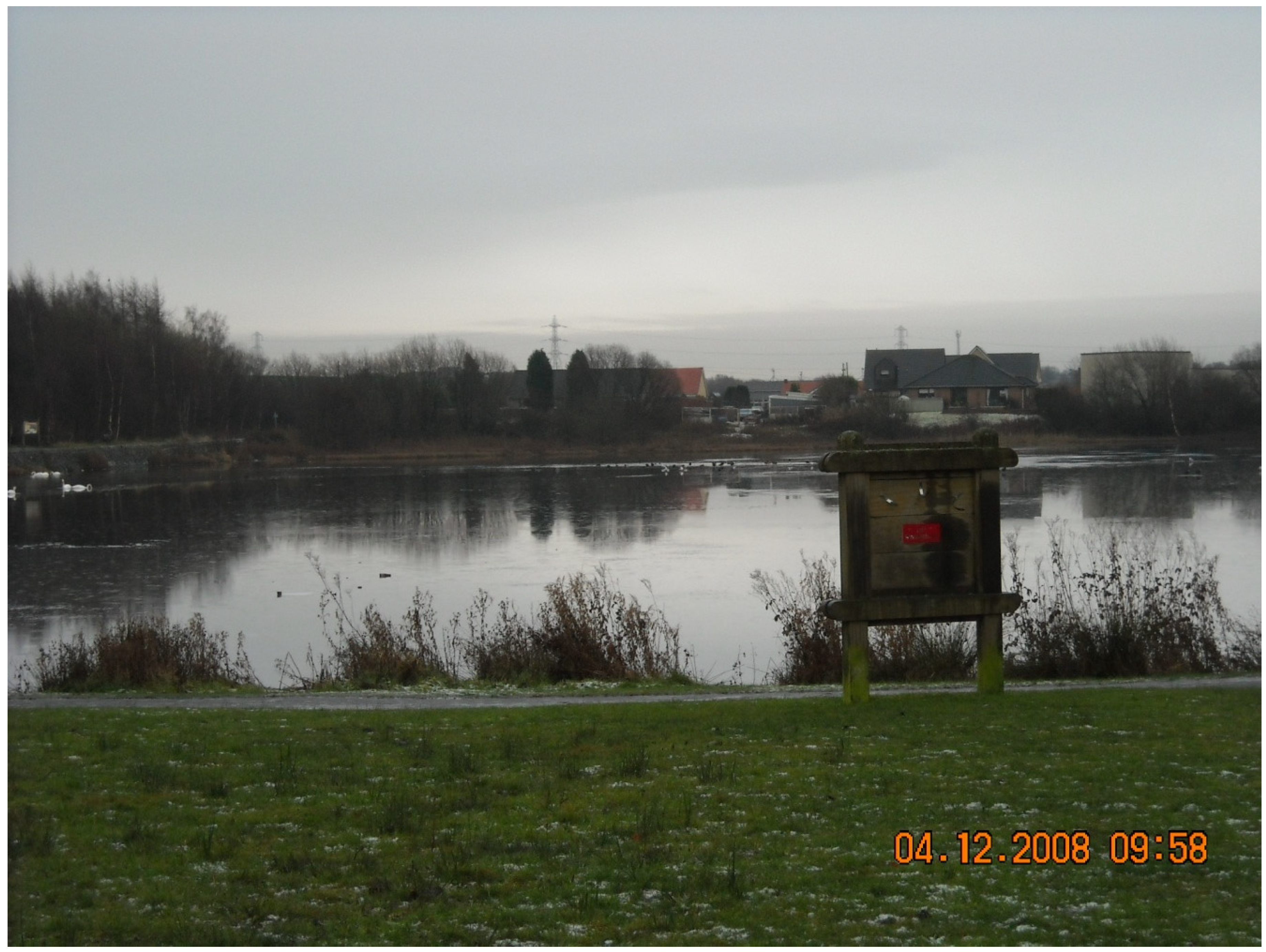 Water 07 01359 g006