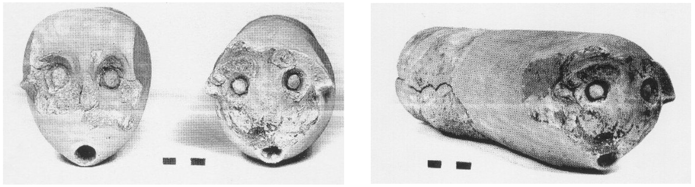 Water 07 02314 g002 1024