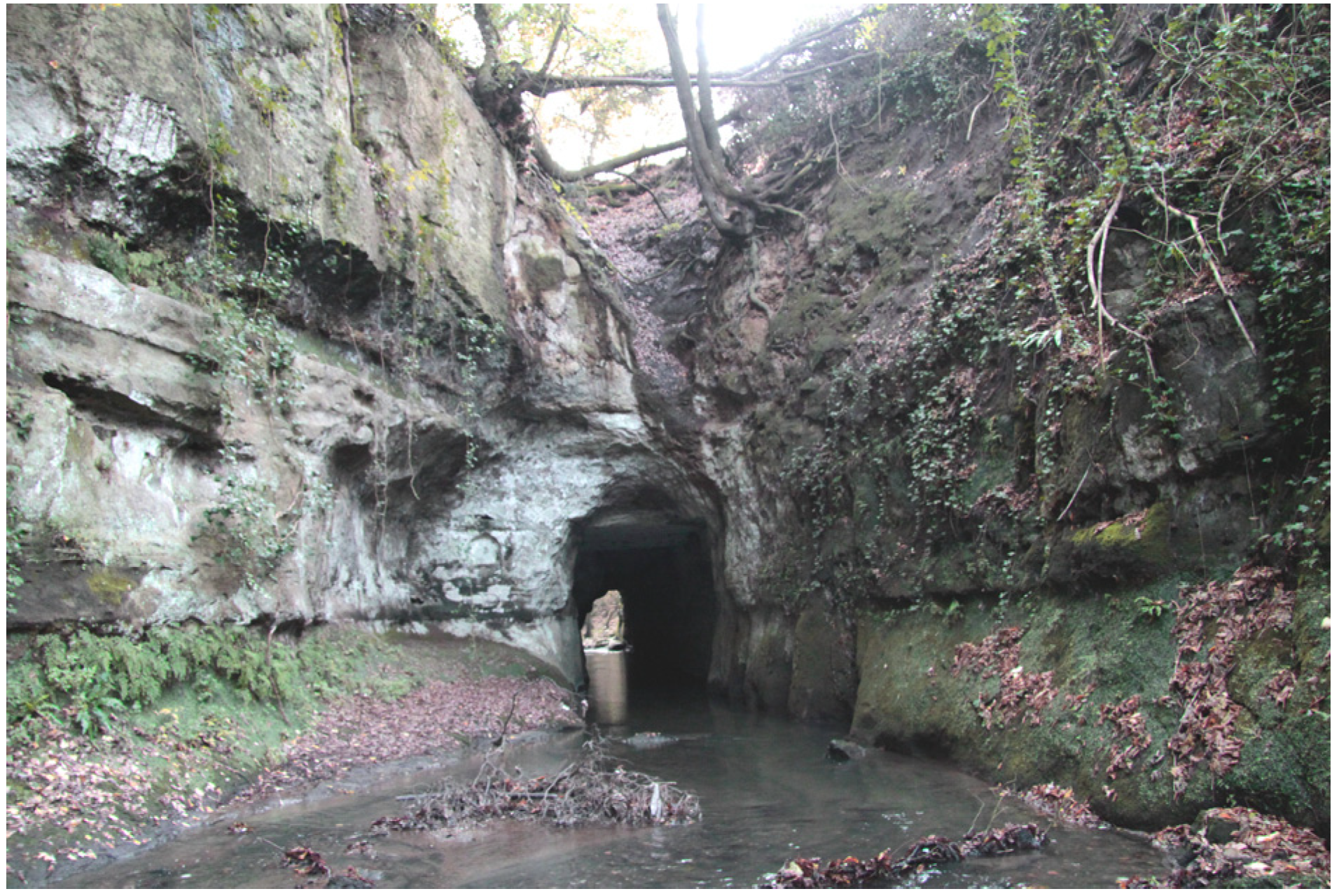 Water 07 02314 g003 1024