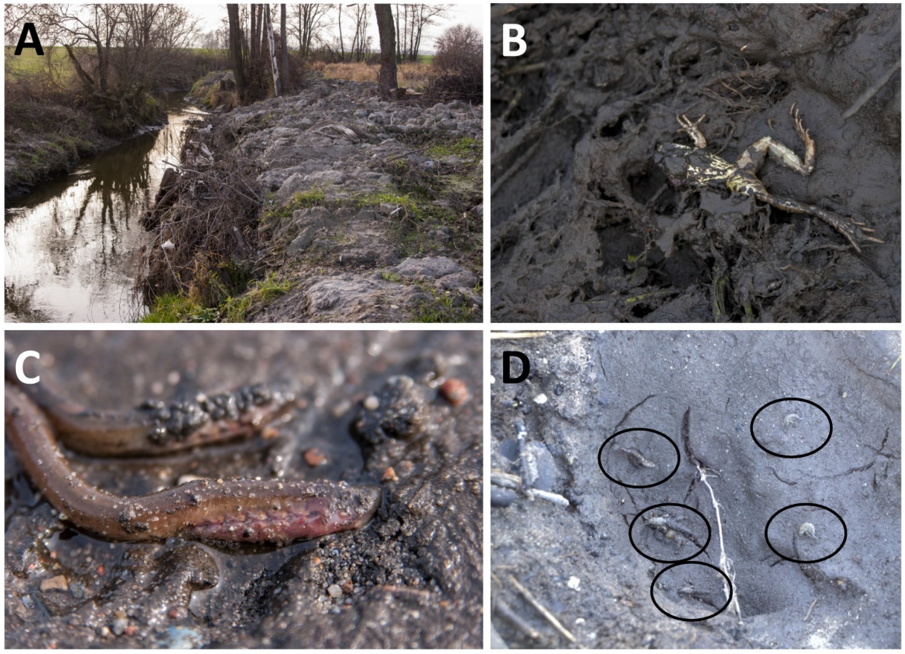 Water 07 04511 g004 1024