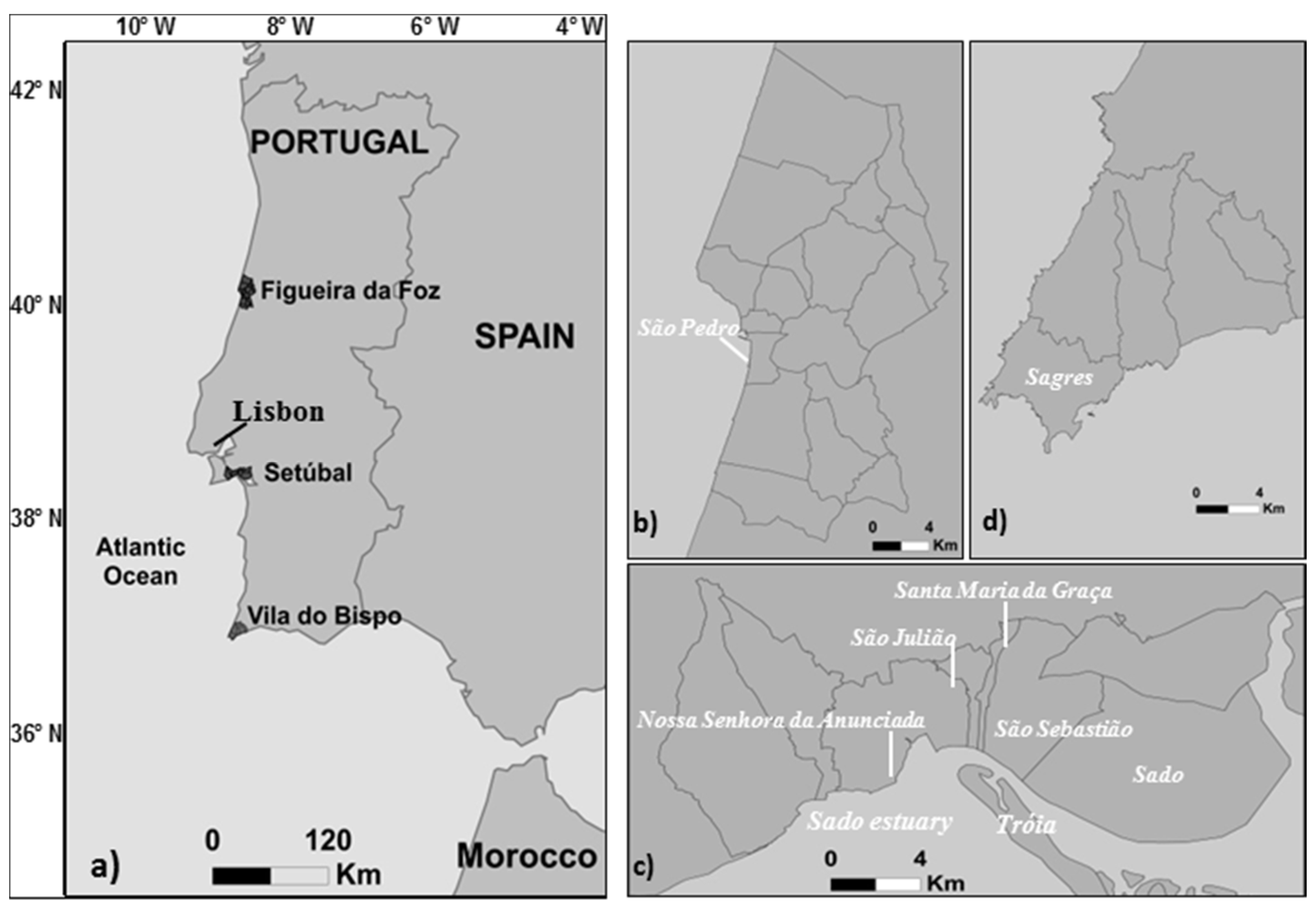 Day 4: A bad map #30DayMapChallenge A clear map of municipal boundaries  represented by the number of parishes in Portugal. : r/MapPorn