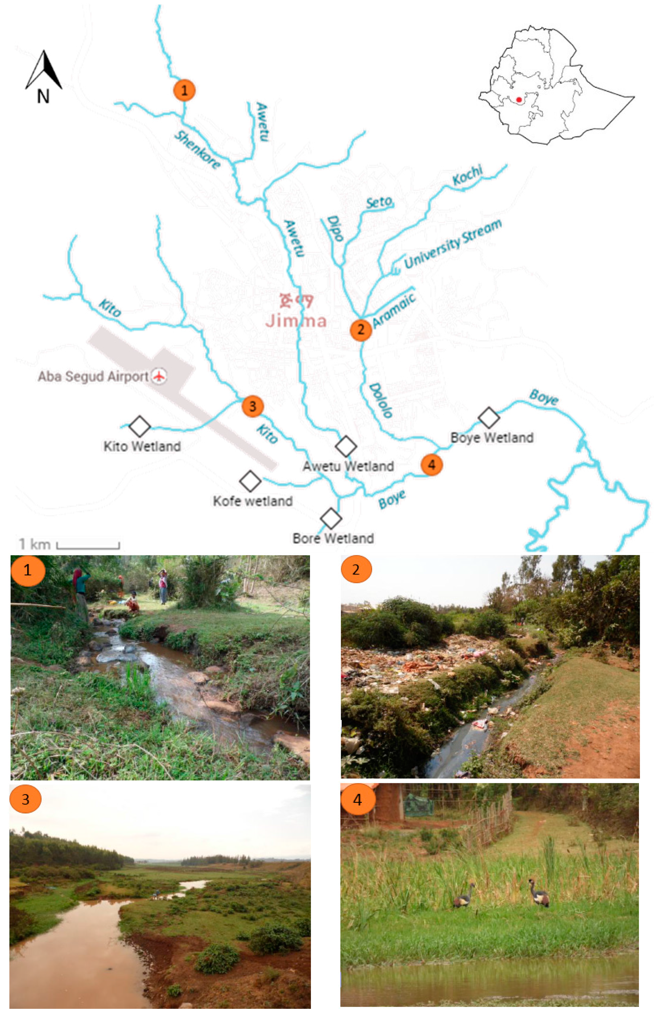 Water 08 00123 g001 1024