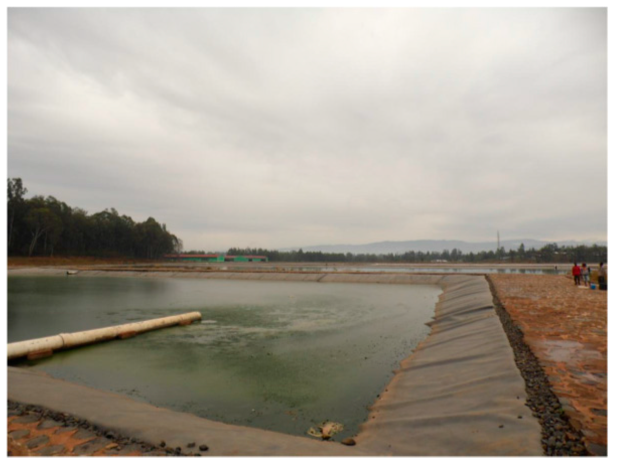 Water 08 00123 g003 1024