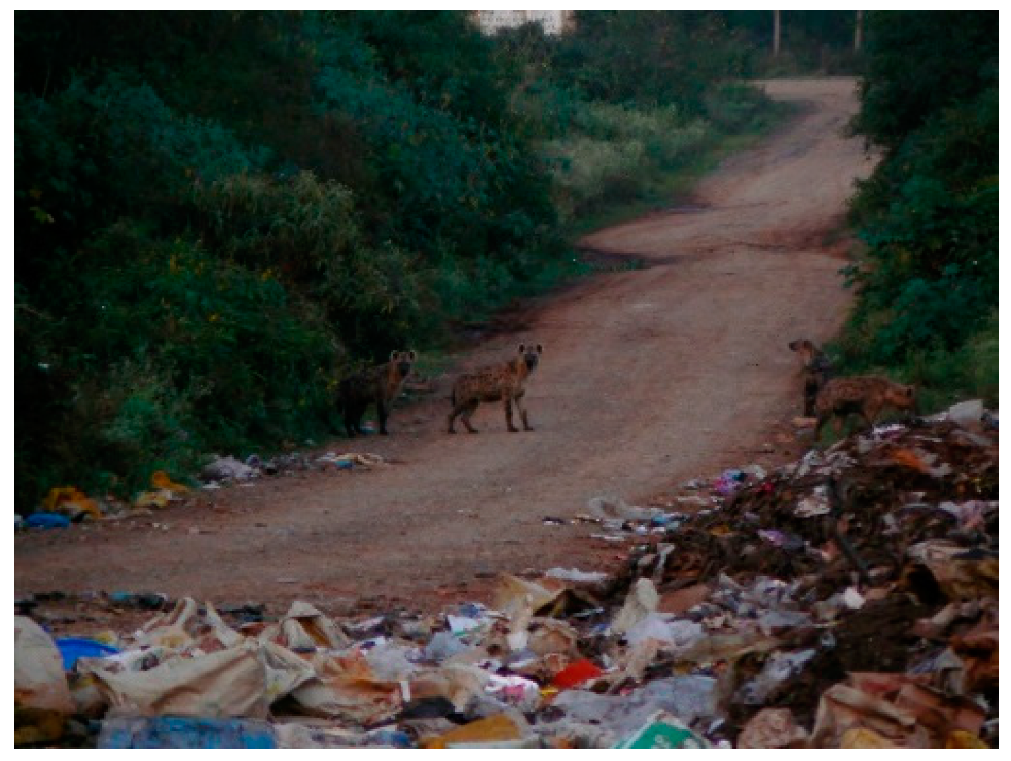 Water 08 00123 g011 1024