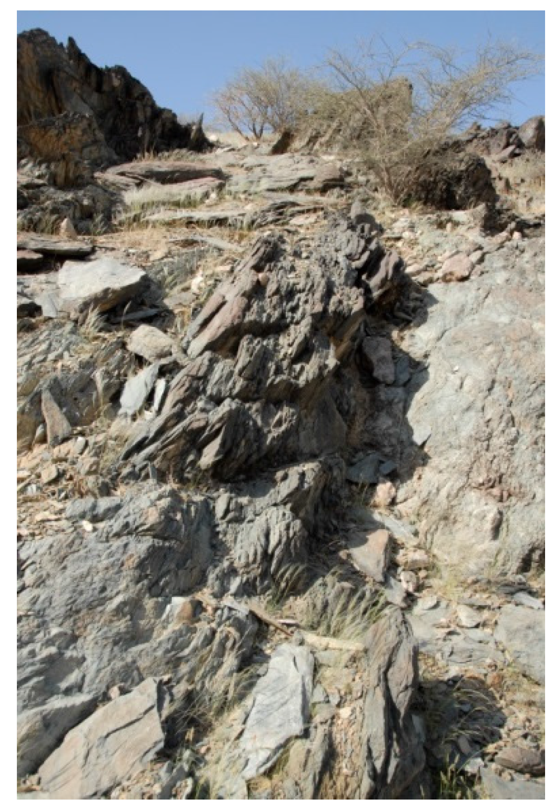 Water 08 00136 g006 1024