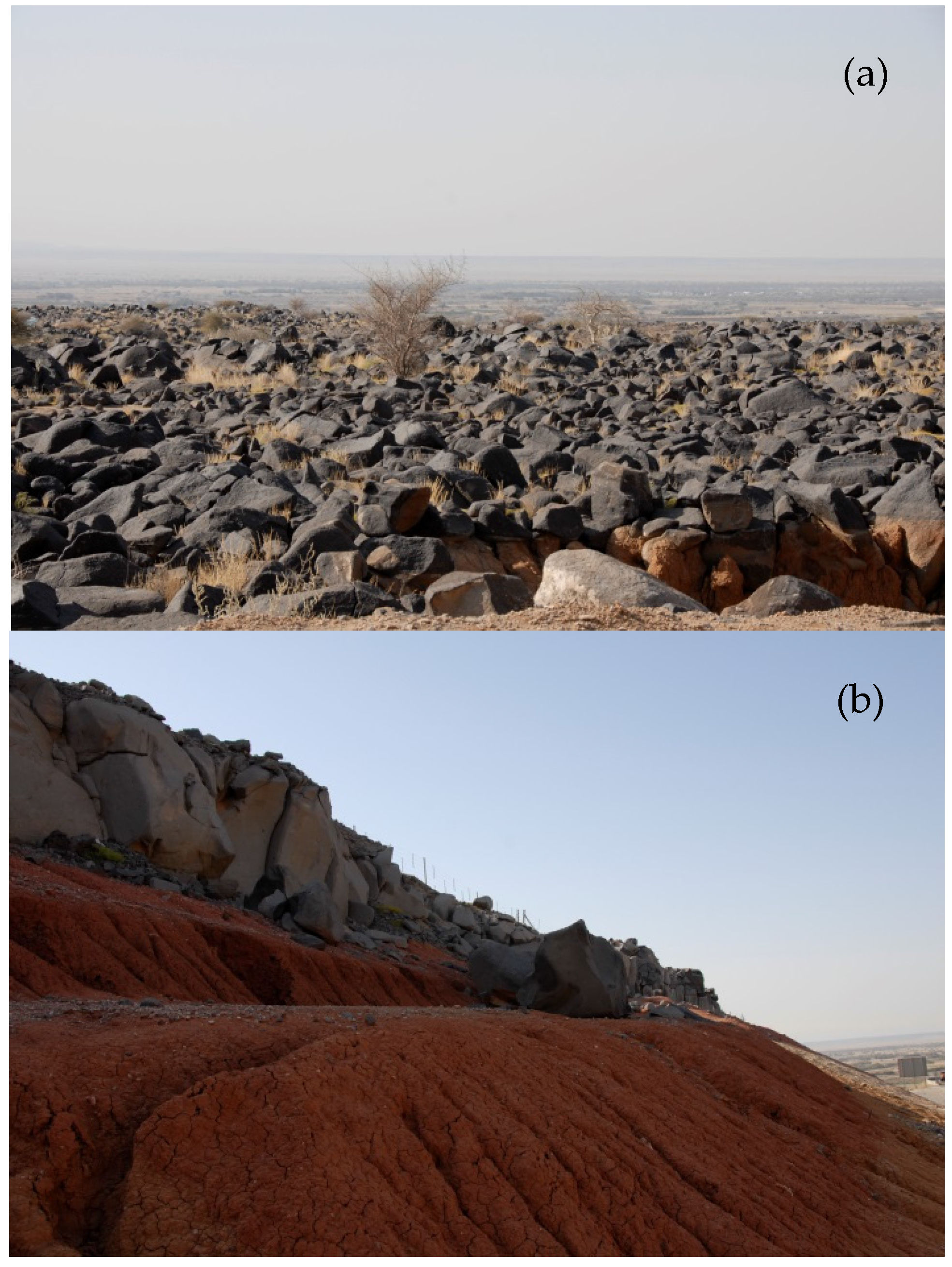 Water 08 00136 g008 1024