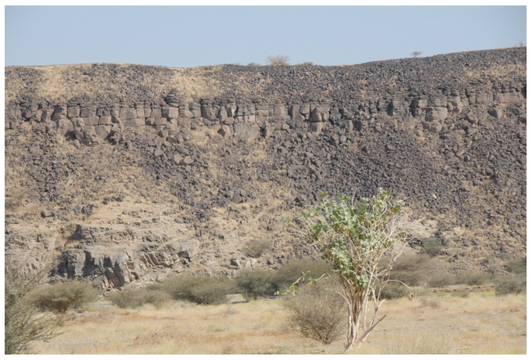 Water 08 00136 g009 1024