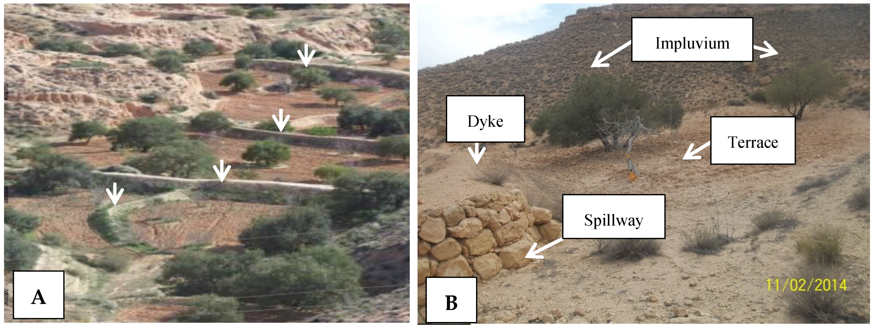 Water 08 00198 g002 1024