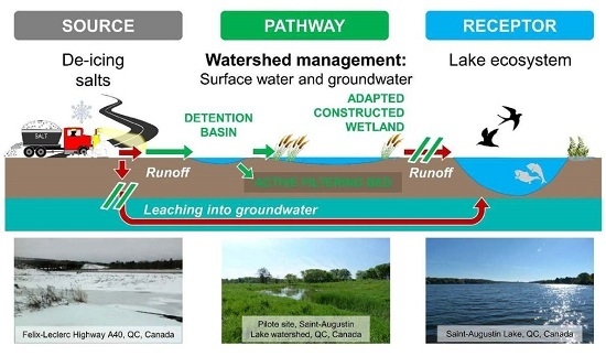 Water Free Full Text Impacts Of Salinity On Saint Augustin Lake Canada Remediation Measures At Watershed Scale