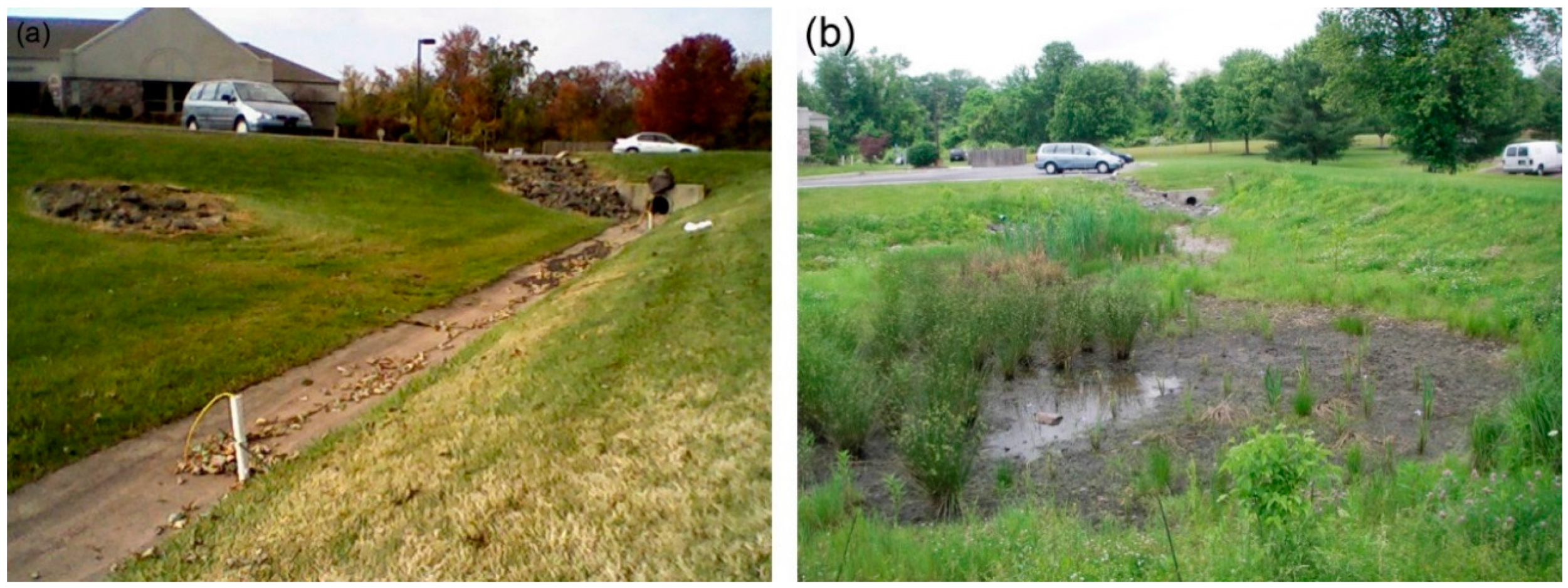 Water 08 00346 g002 1024