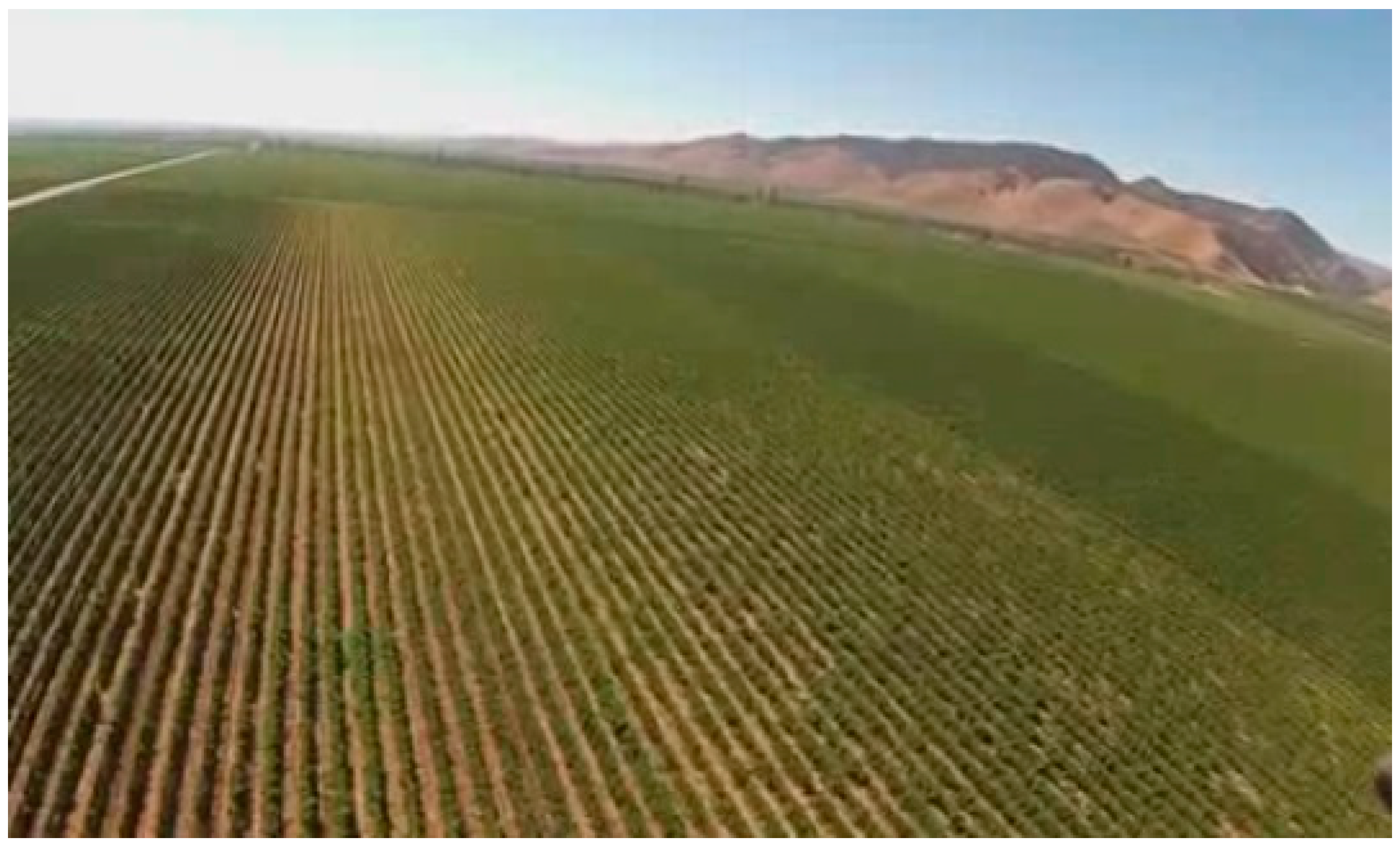 Water 08 00584 g002 550