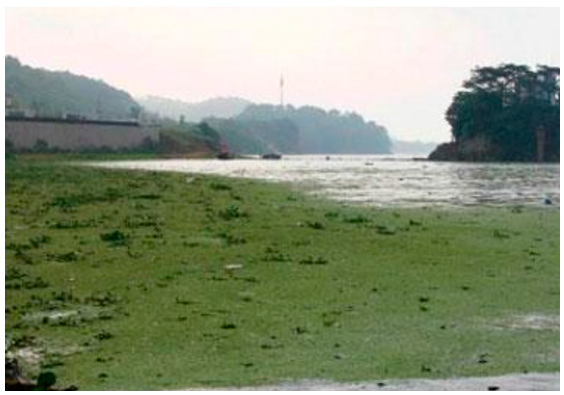 Water 08 00590 g006 550