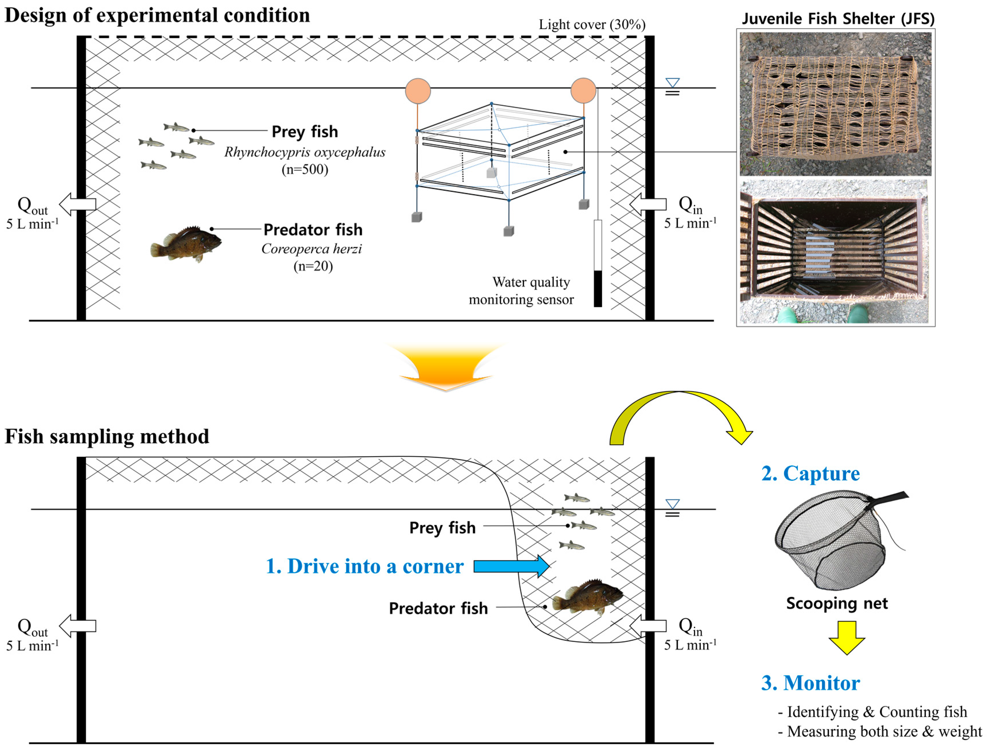 Design of experiments. Design of Experiment.
