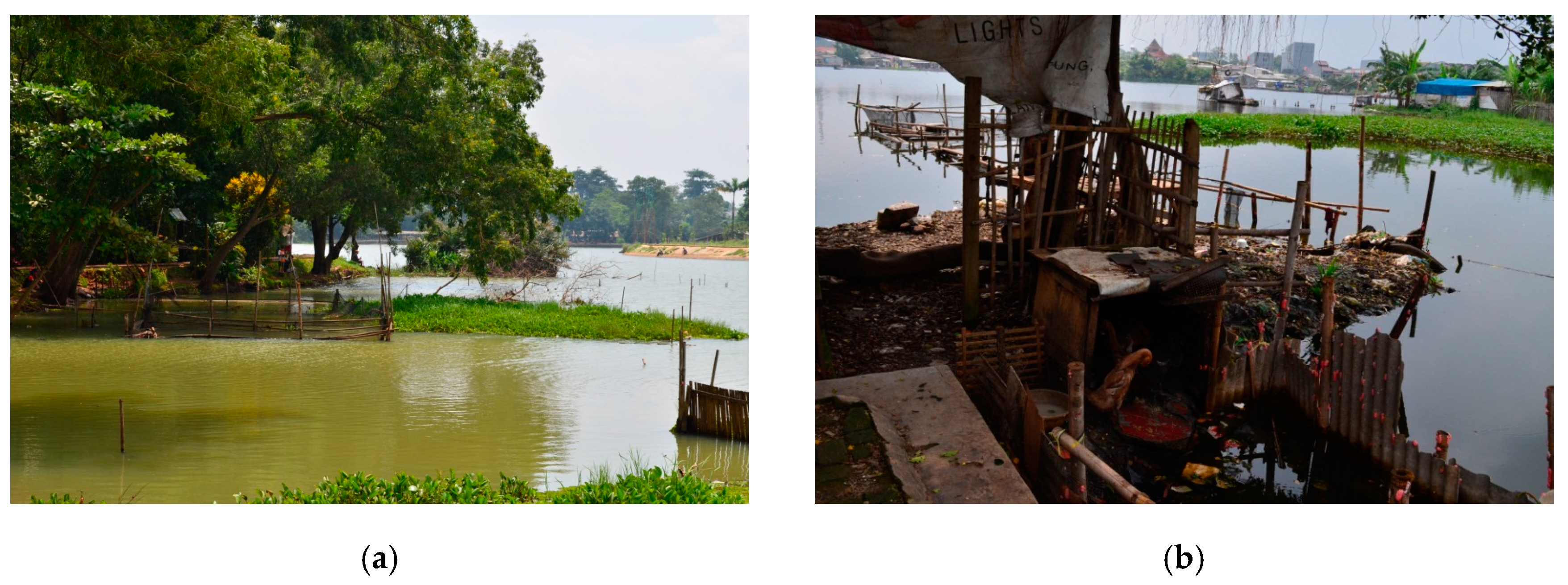 Water 09 00233 g003a 550