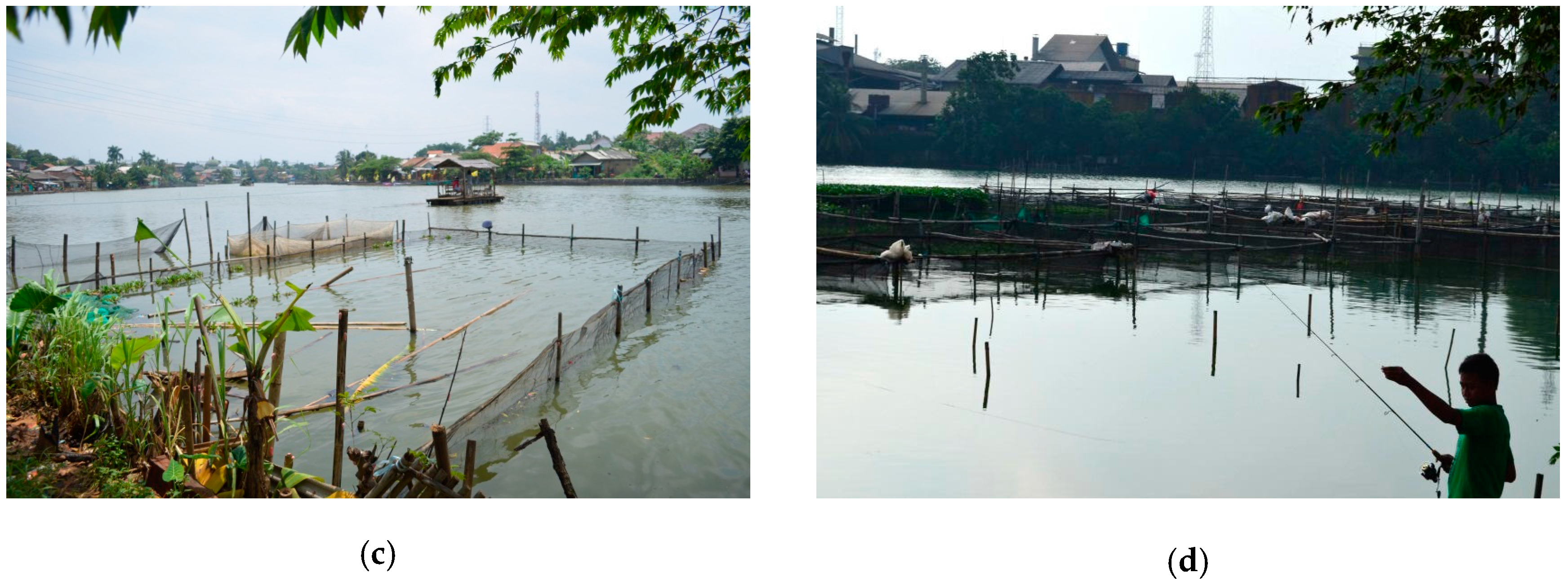 Water 09 00233 g003b 550