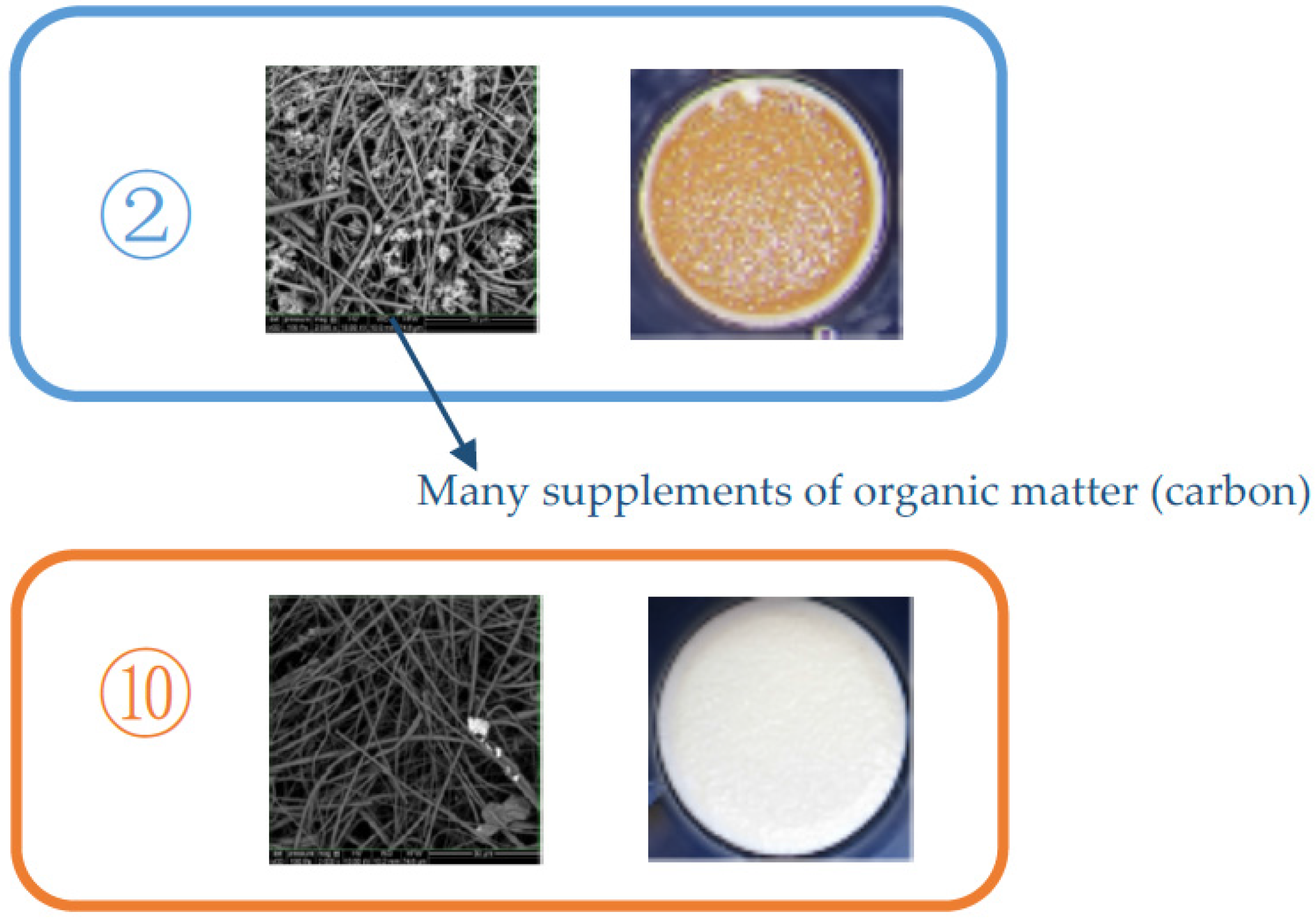 Water 09 00251 g003 550