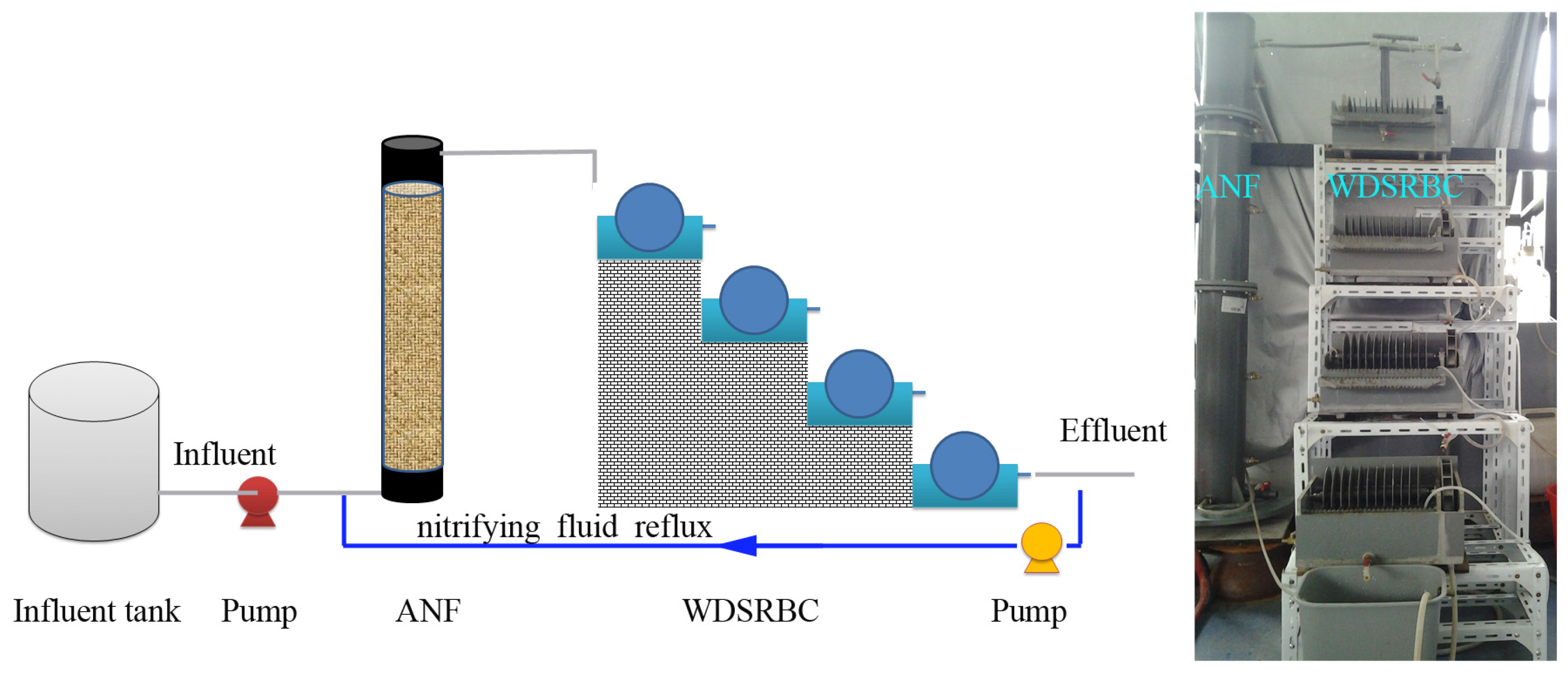 Water | Free Full-Text | Performance and Microbial Diversity in a Low-Energy ANF-WDSRBC for the Post-Treatment of Decentralized Domestic Wastewater | HTML